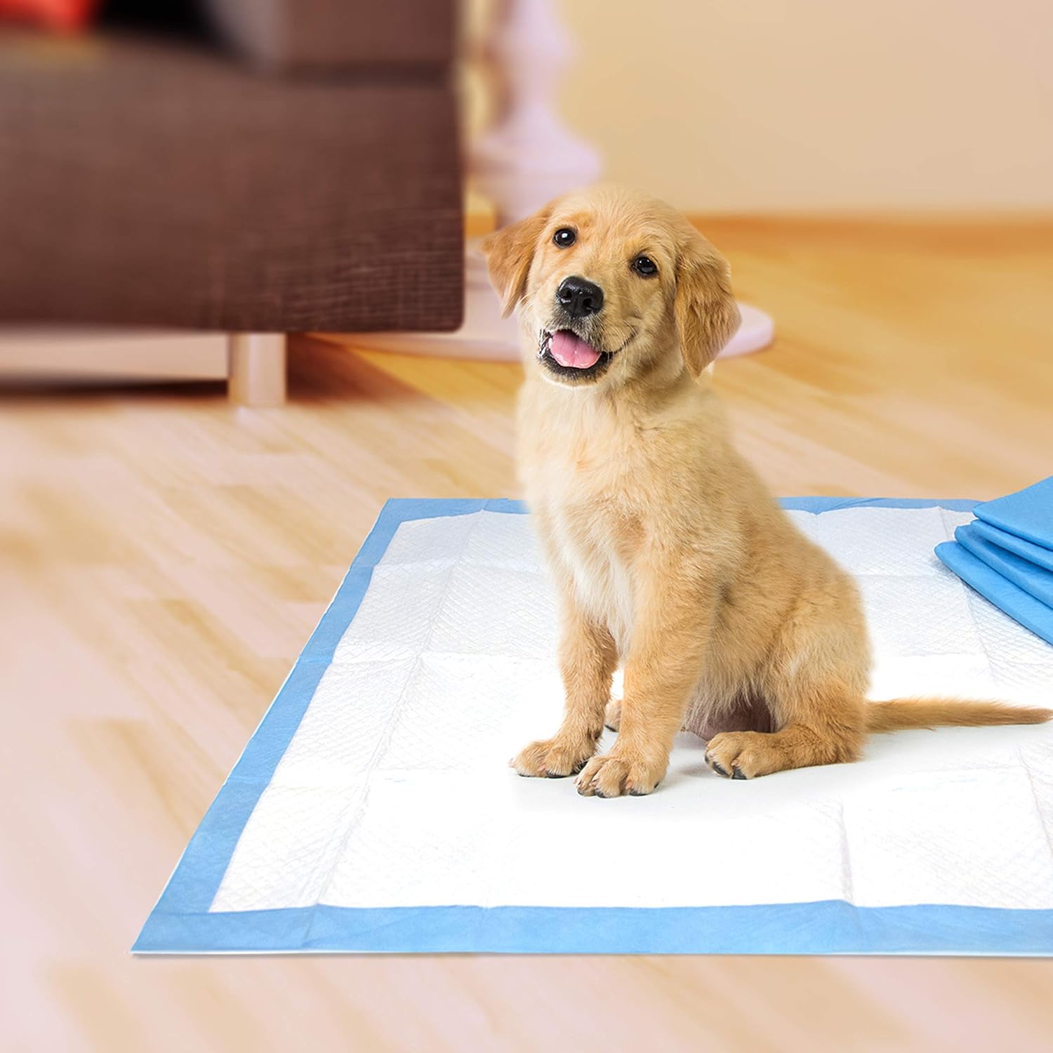 Four Paws Pet Select – Almohadillas para orinar para perros y cachorros, 100 unidades, estándar 22″ x 22″