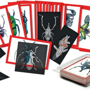 Equipo de rayos X de insectos y tarjetas de imágenes, por Roylco Equipo de rayos X de insectos y tarjetas de imágenes, por Roylco
