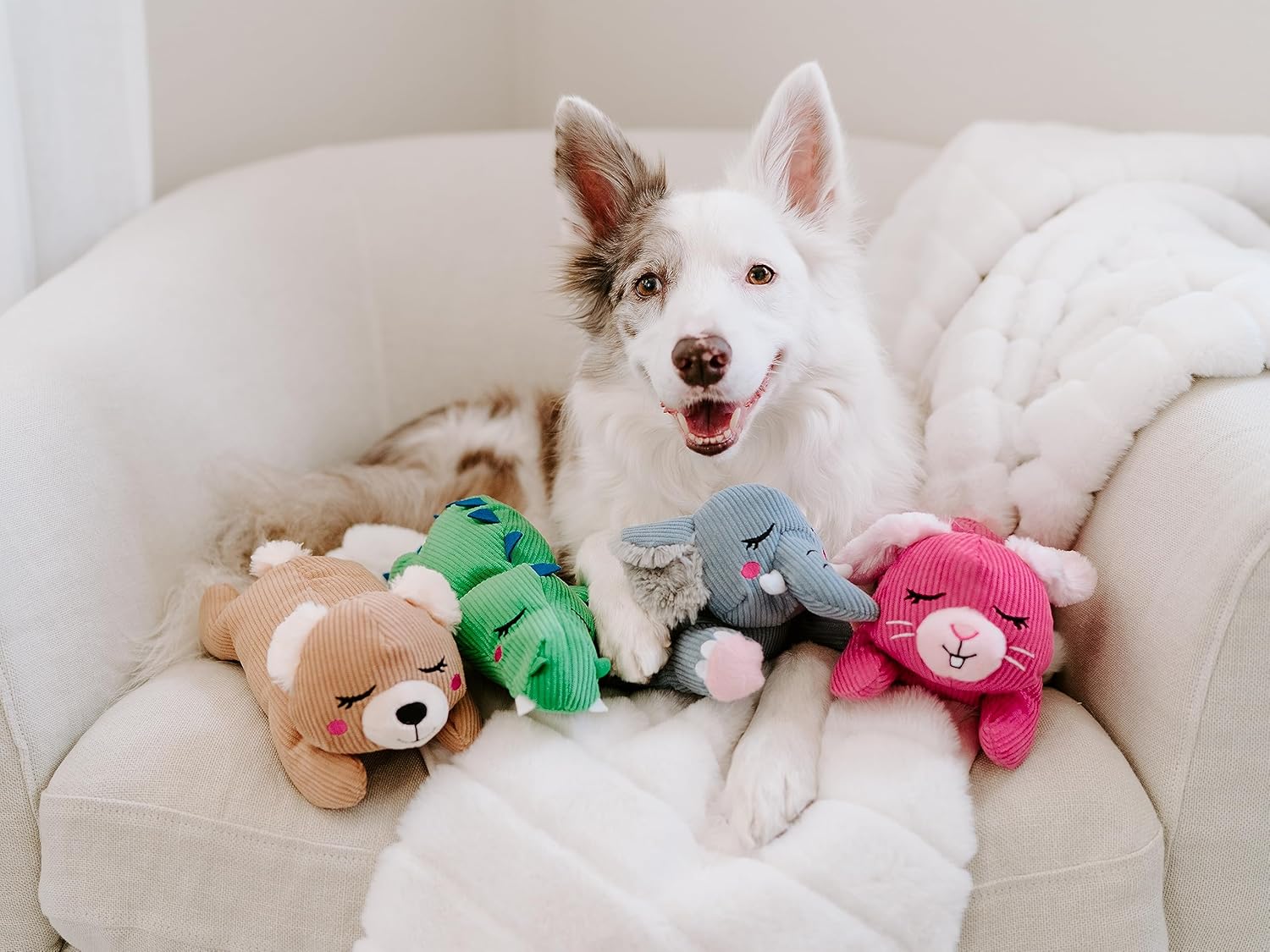 ZippyPaws Snooziez con Shhhqueaker – Juguete para perros de cocodrilo con chirriantes silenciosos, juguetes silenciosos para cachorros para perros