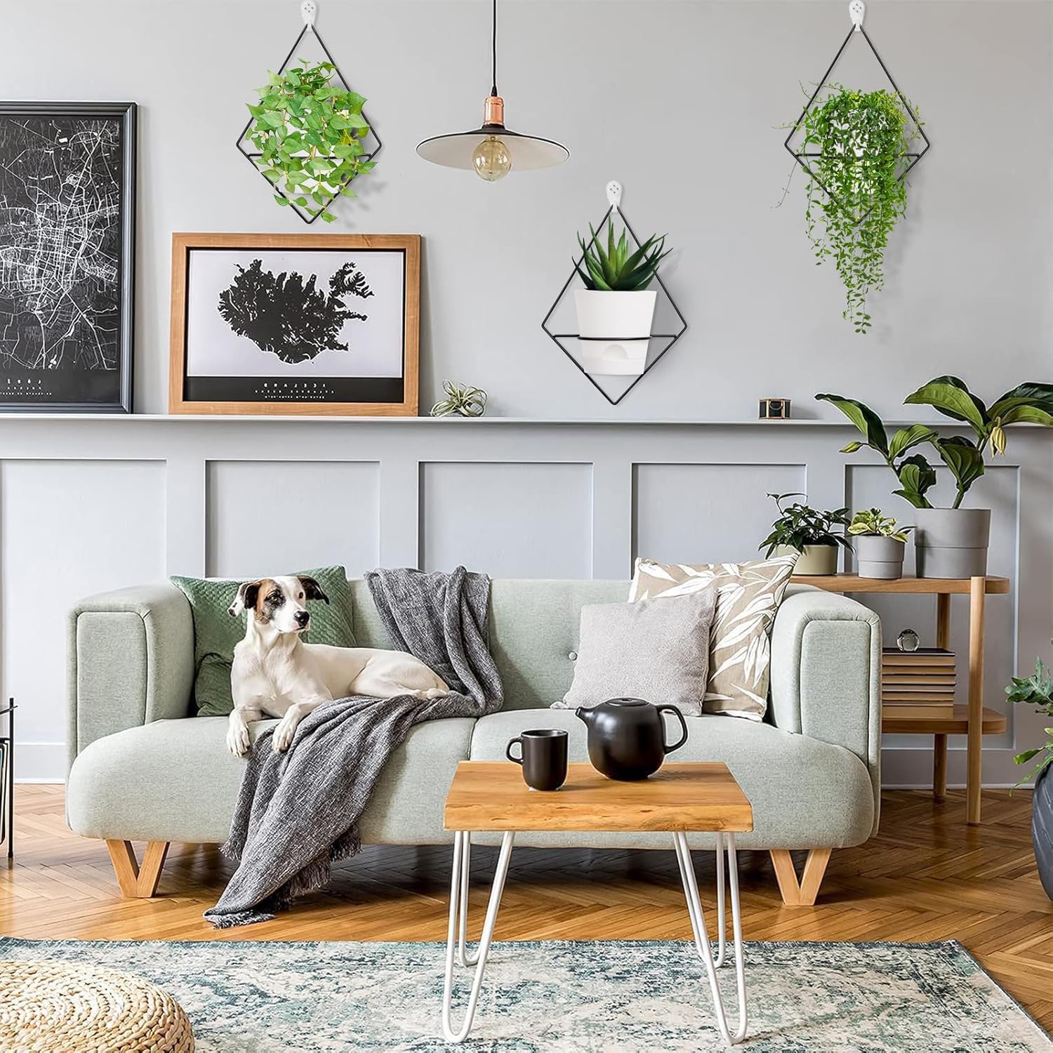 3 juegos de macetas de pared para plantas de interior, maceta colgante de pared con soporte de metal negro, macetas geométricas de pared con riego