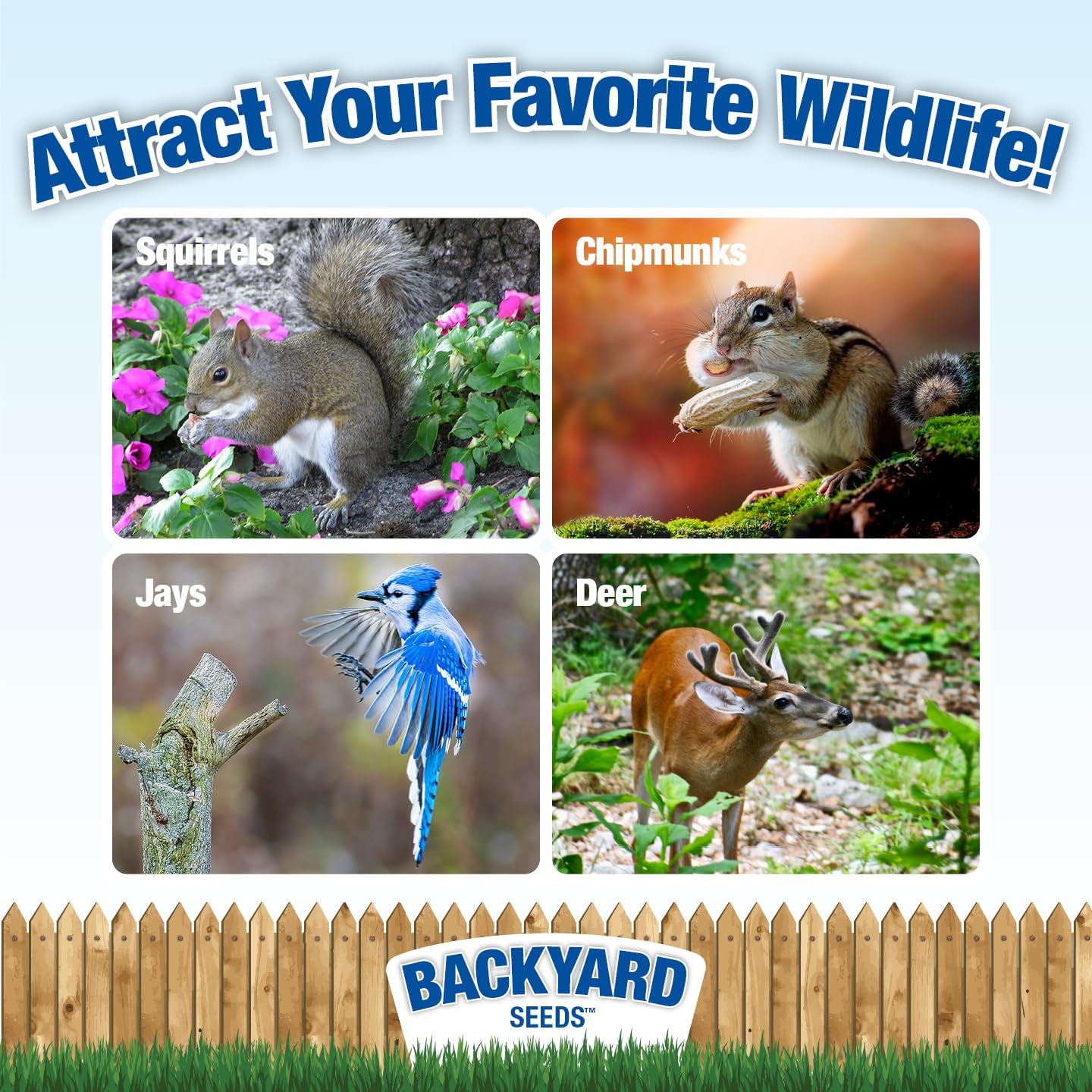 Backyard Seeds Squirrel & Friends Wildlife – Mezcla de alimentos de ardilla y ardilla, 8 libras