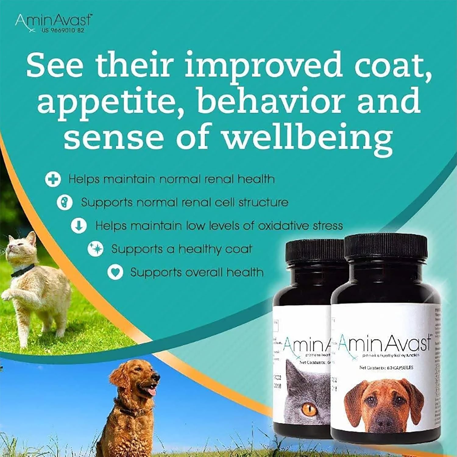 AminAvast Suplemento de riñón para perros – Apoya la función renal natural – Promueve la salud y la vitalidad del envejecimiento de los riñones –