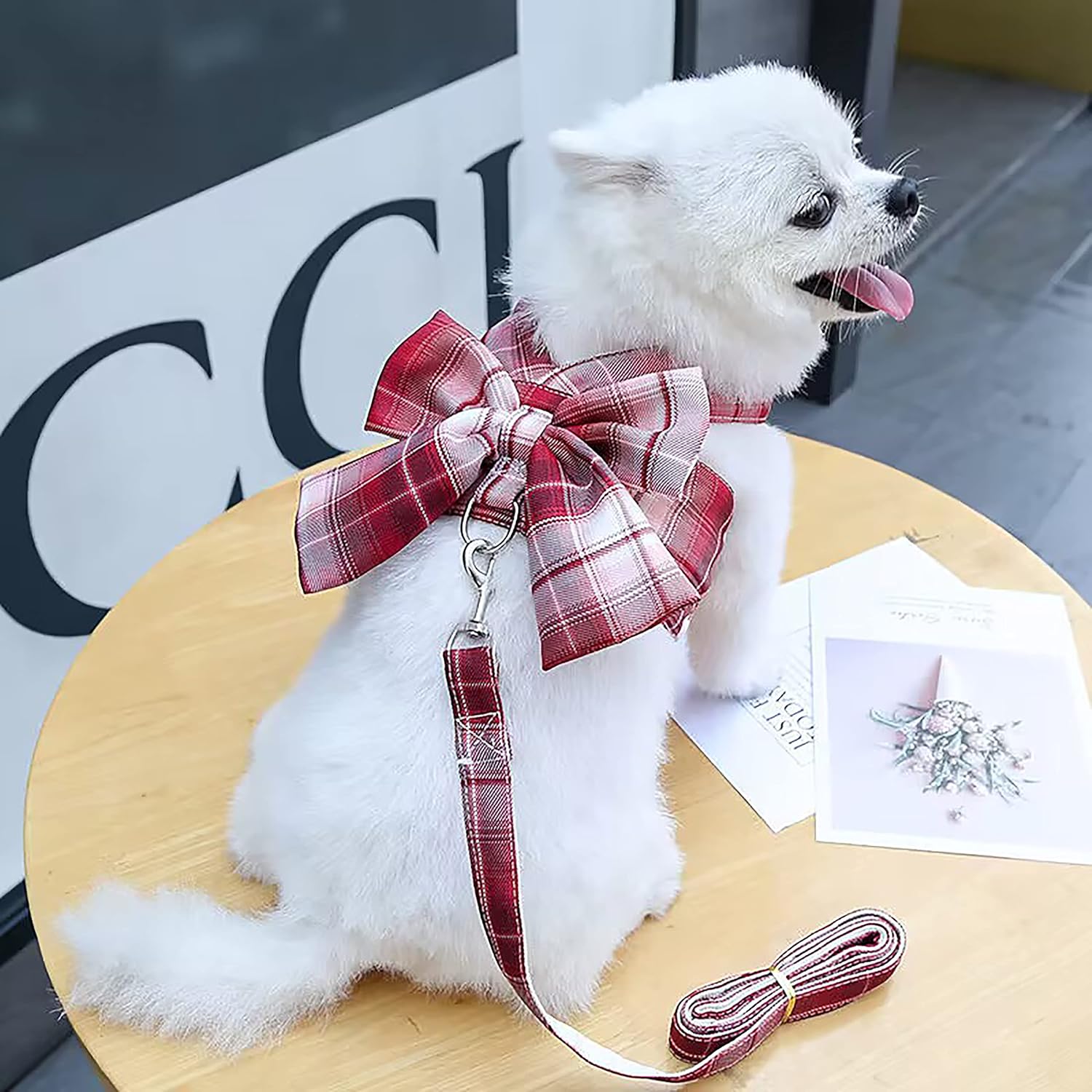 Juego de vestido a cuadros para perro, arnés y correa, ropa para perro con anillo para correa para perros pequeños y niñas, ropa de conejo princesa