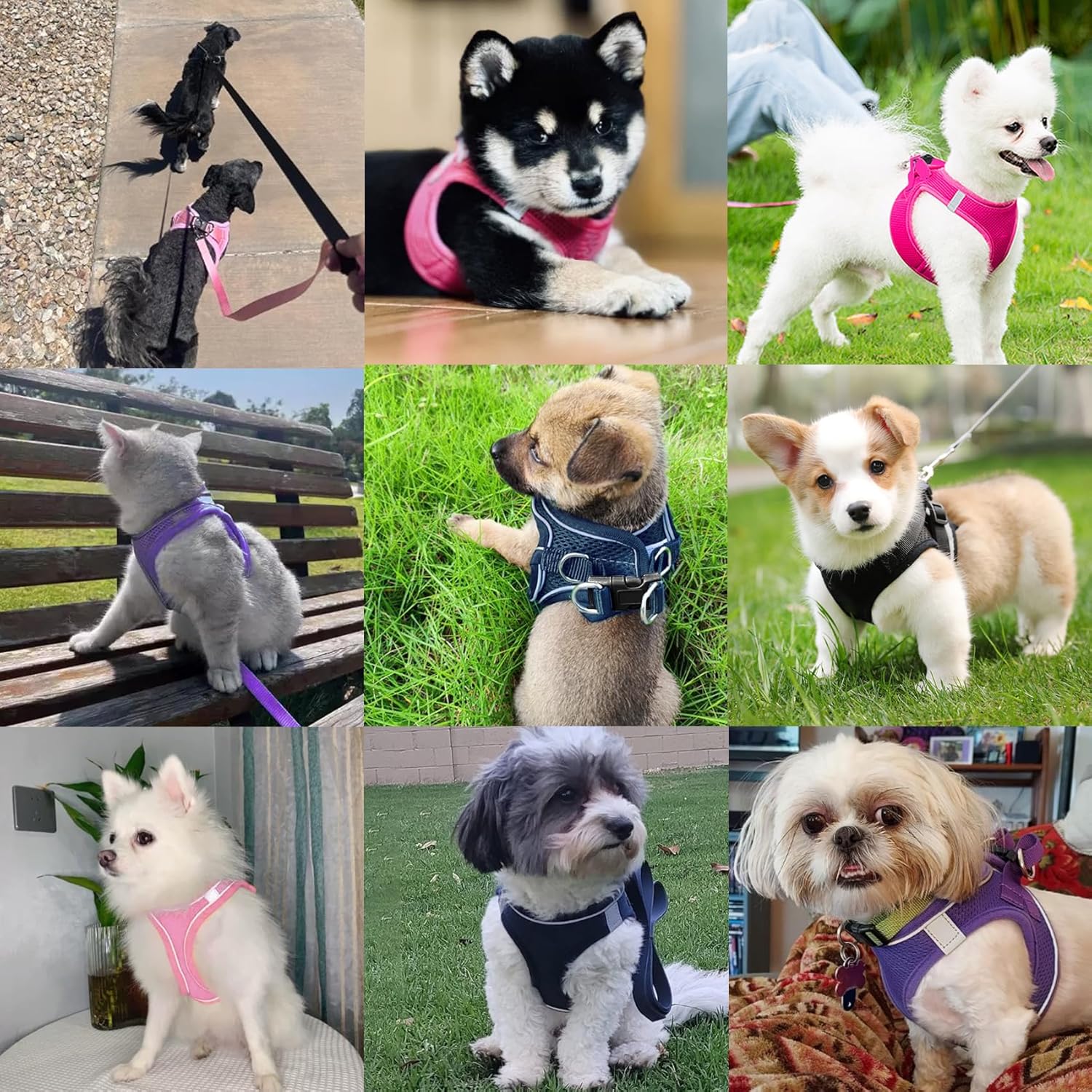 Arnés para perro con correa, arnés reflectante sin tirones para mascotas con 1 clips para correa, chaleco ajustable suave acolchado para perros