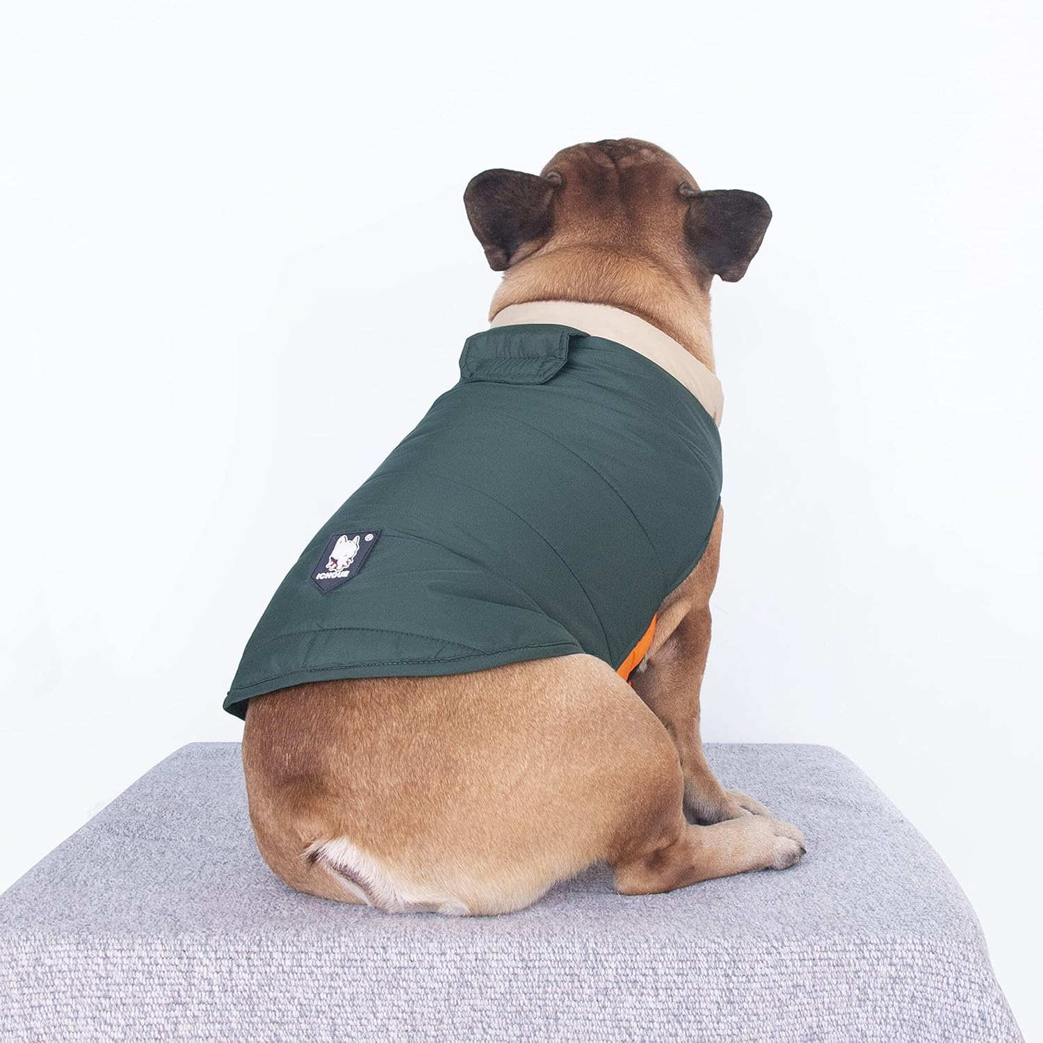 iChoue Abrigos de invierno de bulldog francés, chaquetas para perro, chalecos acolchados de algodón para Pug English Boston Terrier Pitbull –