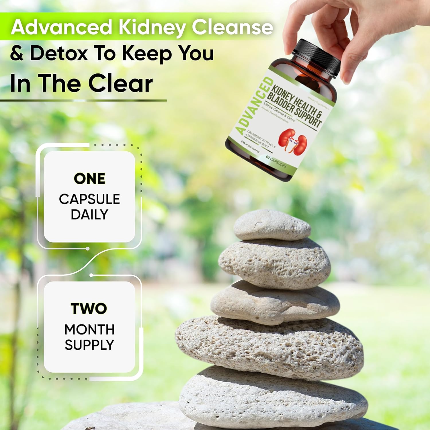 Limpieza renal desintoxicación y reparación y apoyo de la vejiga suplemento de apoyo renal para restauración renal con Chanca Piedra, arándano,
