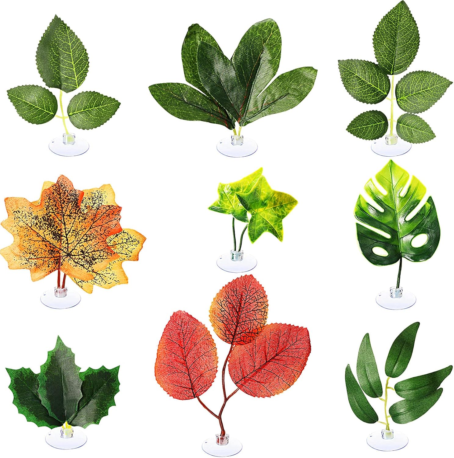 9 piezas Betta Bed Leaf Hamaca Pad Betta Fish Leaf Pad Betta Fish Hamaca Betta Fish Accesorios Decoración de tanques de plantas para lugar de