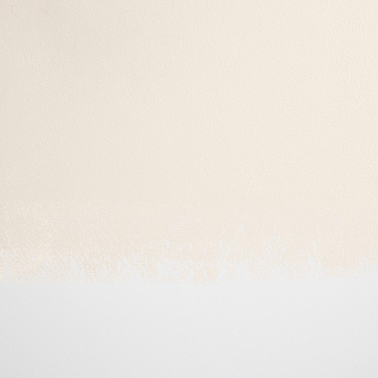 BACKDROP  Pintura interior premium  Muestra de pintura adhesiva grande  MOONLIGHT – Blanco cálido  Muestra de color de 12 x 12 pulgadas
