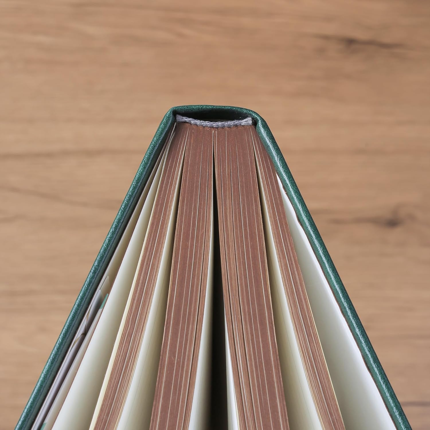ZXHQ Cuadernos A5 de 360 páginas rayadas con bolígrafo, diarios para mujeres y hombres, cuaderno de escritura, diseño de árbol de la vida, bolsillo