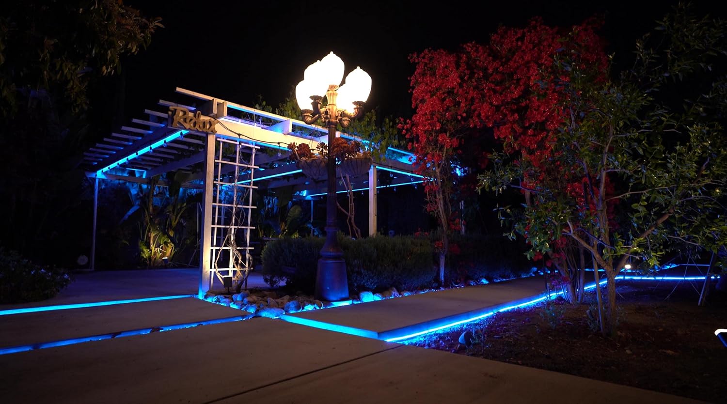 WYZworks Cuerda de luz LED azul de 10 pies, 8 modos, iluminación impermeable para exteriores con control remoto, tubo transparente flexible,