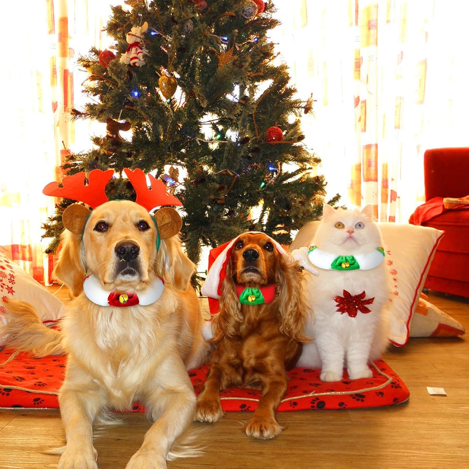 Abbylike 3 piezas de collar navideño de felpa para perro, blanco, rojo, verde, elástico, festivo, día festivo, collar elástico de Navidad para