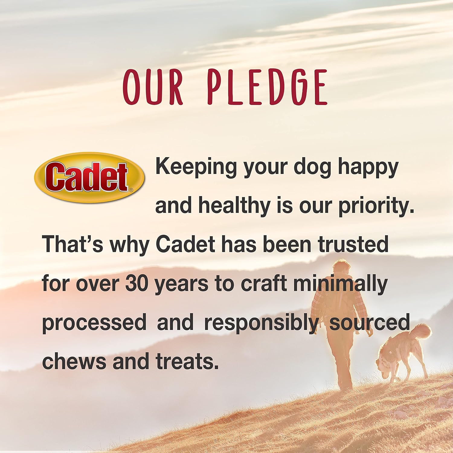 Cadet Smart Hide – Golosinas para perros sin cuero crudo, con revestimiento de maní, 2 unidades