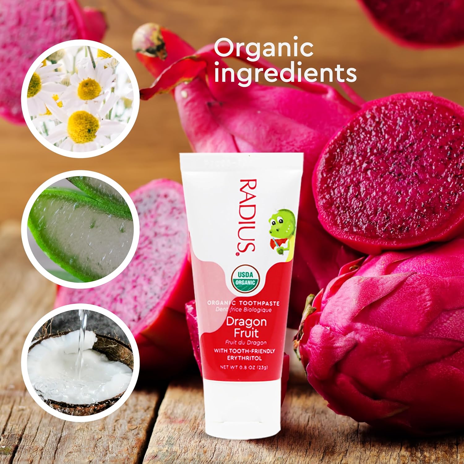 RADIUS USDA Organic Kids Toothpaste 3oz Non Toxic Chemical-Free Gluten-Free Designed to Improve Gum Health for Children’s 6 Months and Up – Dragon