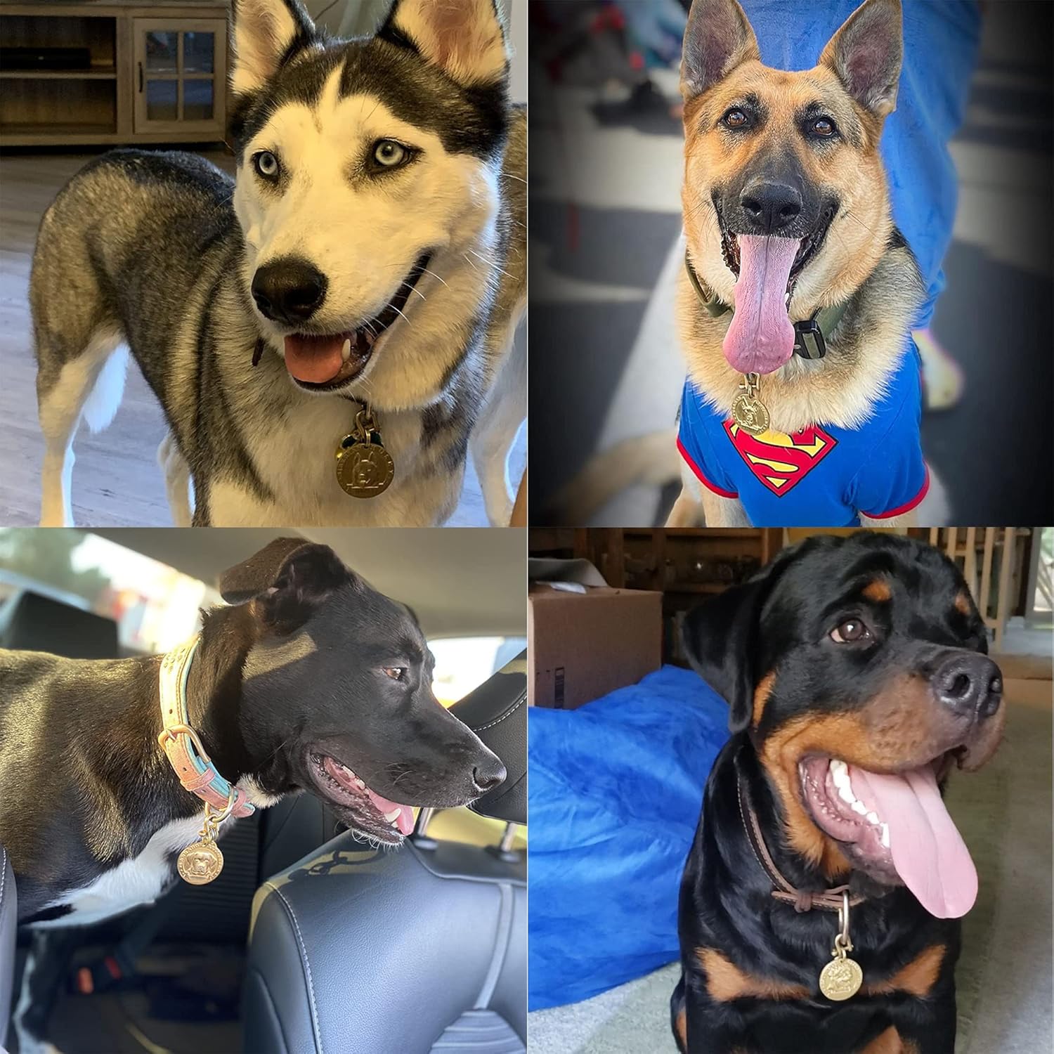 Davisia Etiquetas de identificación para mascotas de cobre puro, etiquetas para perro personalizadas, patrón de mascota de alivio tridimensional,