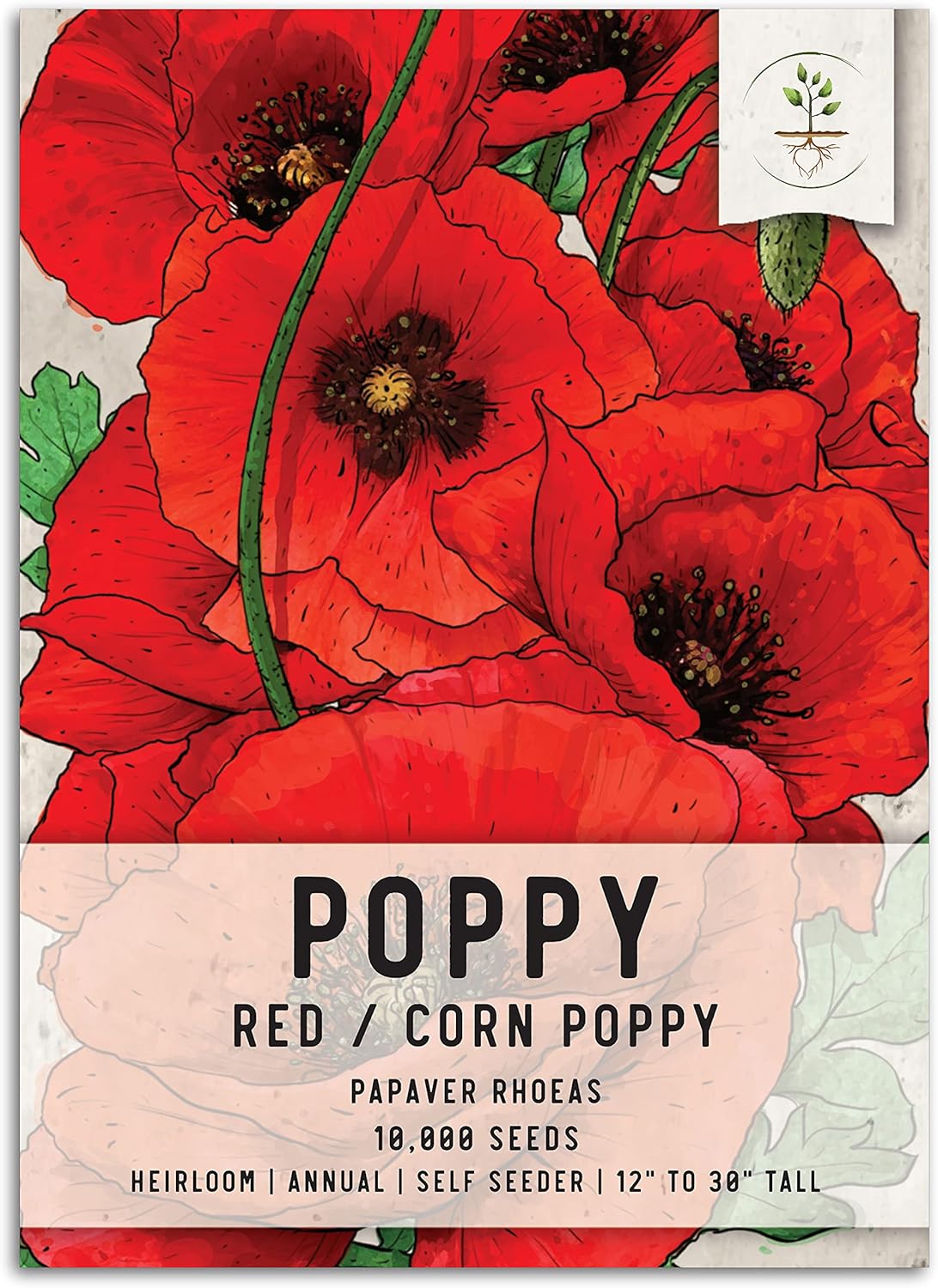Seed Needs, Semillas de amapola roja  10,000 semillas tradicionales para plantar papaver rhoeas  Amapola de maíz anual que atrae mariposas al jardín