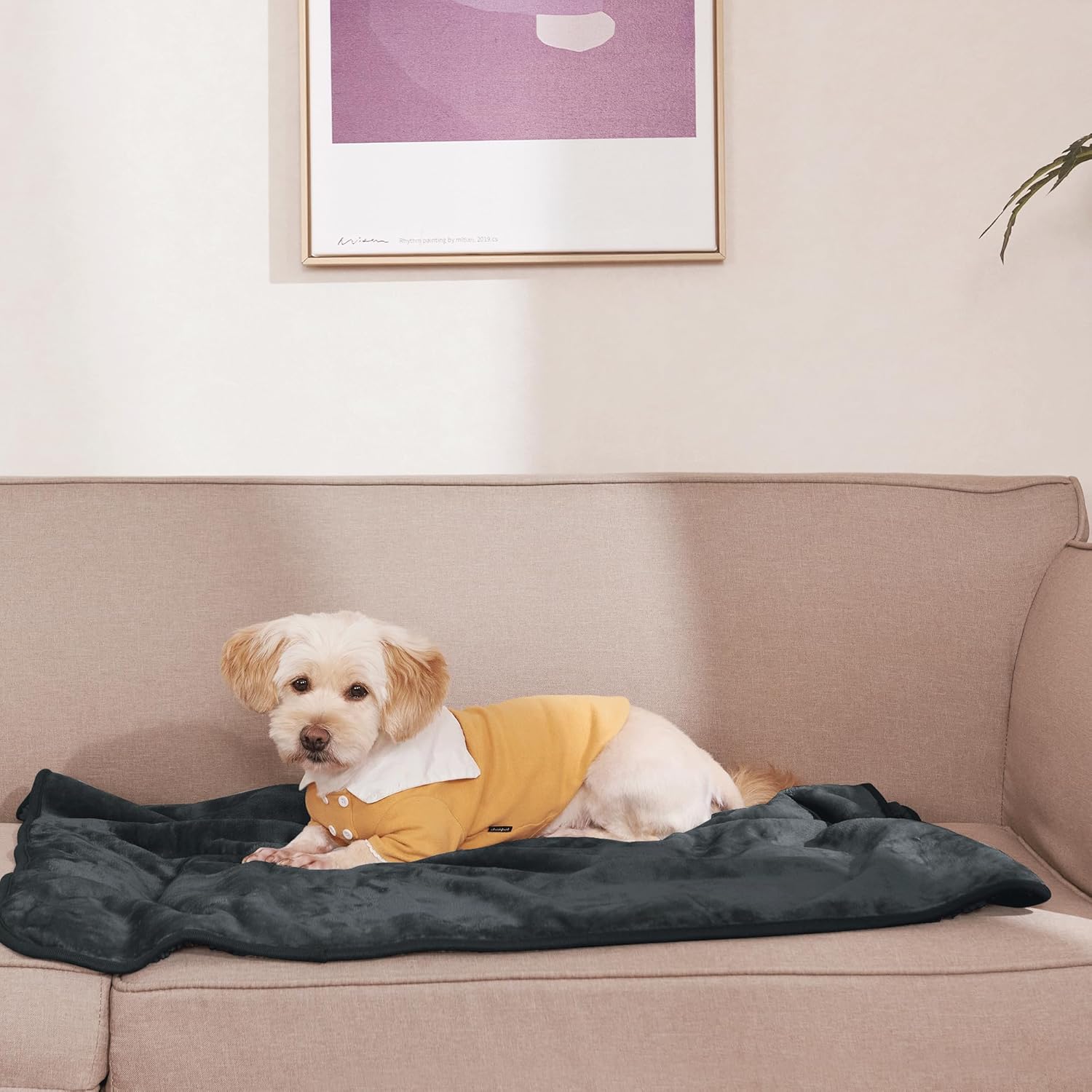 NICETOWN Mantas impermeables para perros pequeños  Manta para gatos pequeños, lavable para proteger el sofá y los muebles, manta de forro polar