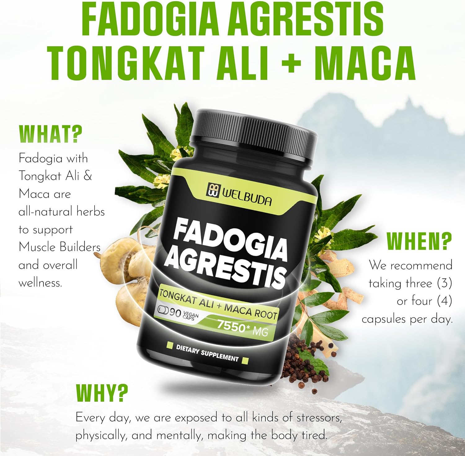 WELBUDA 4 en 1 Fadogia Agrestis Suplemento 7550mg  90 cápsulas  Extra fuerte con Tongkat Ali, raíz de maca y pimienta negra  Apoyo para la