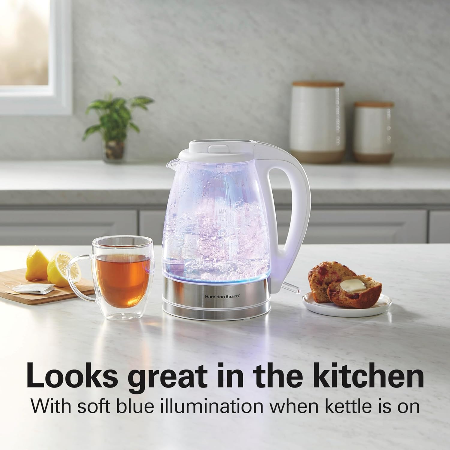 Hamilton Beach Hervidor de té eléctrico de 1.7L, caldera de agua y calentador, filtro de malla integrado, apagado automático y protección para