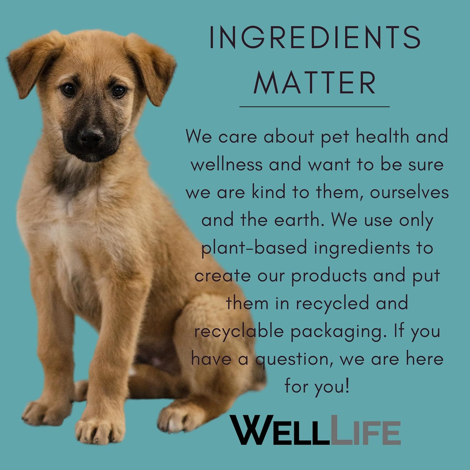Well Life Champú acondicionador 2 en 1 para cachorros, champú acondicionador sin lágrimas, ingredientes a base de plantas, aceite de jojoba,