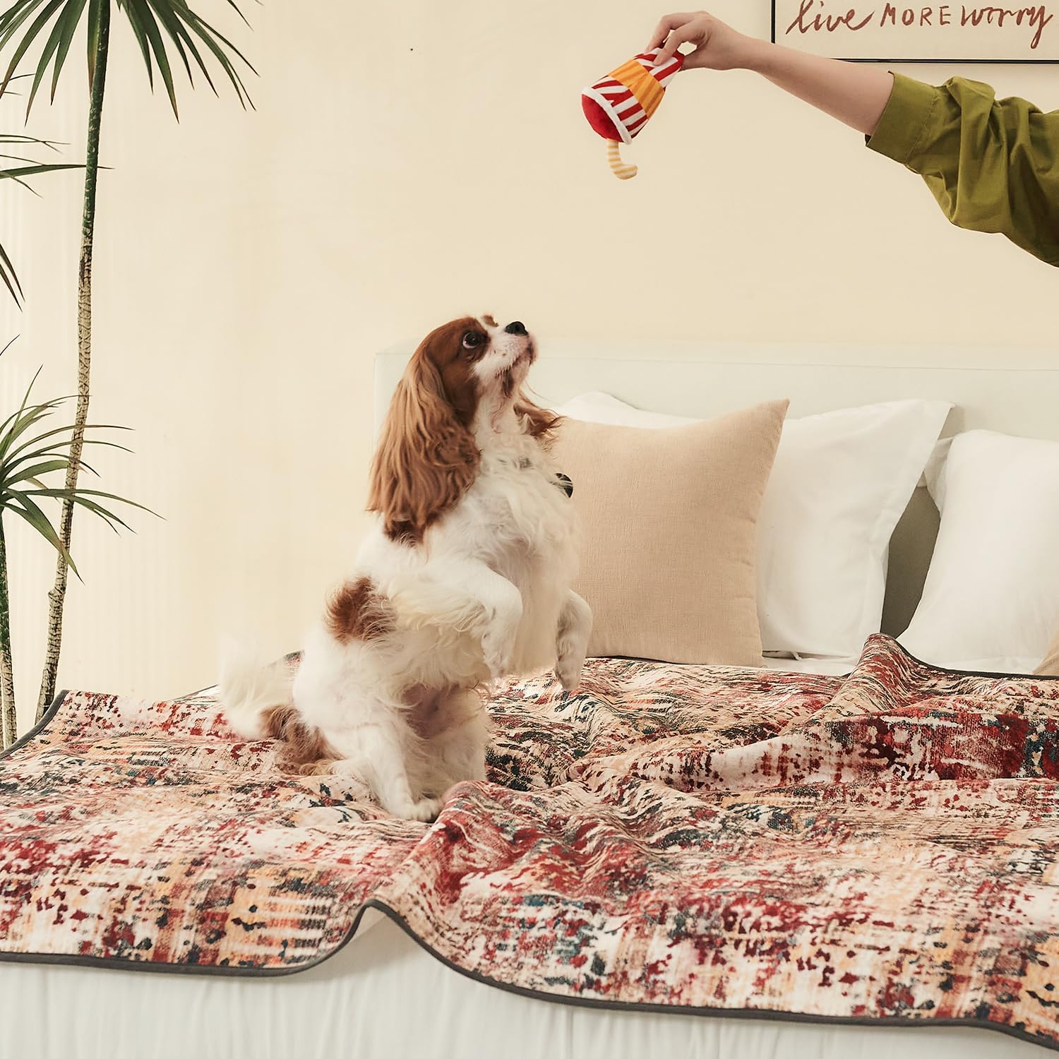 Qeils Almohadillas lavables para orina para perros, paquete de 2 almohadillas reutilizables para cachorros de 36 x 41 pulgadas, superabsorbentes, a