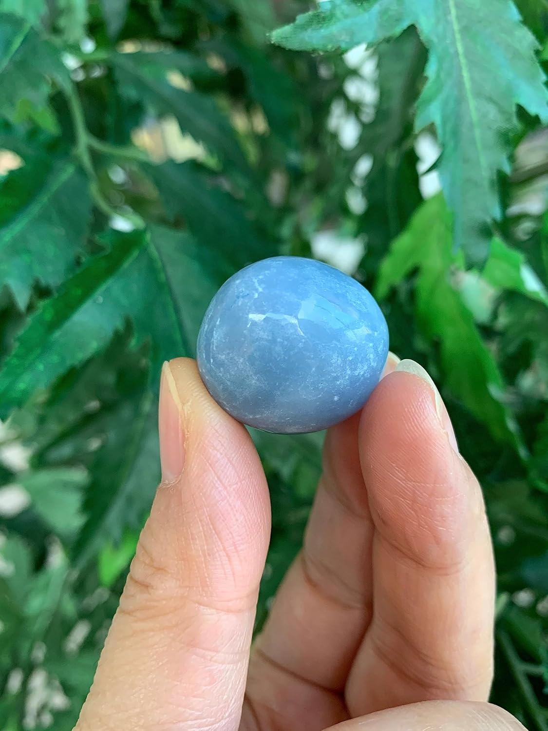 Piedras rodadas de angelita de 12 libra, piedra preciosa de angelita pulida, cristales curativos de angelita (angelita, 0.5 libras)