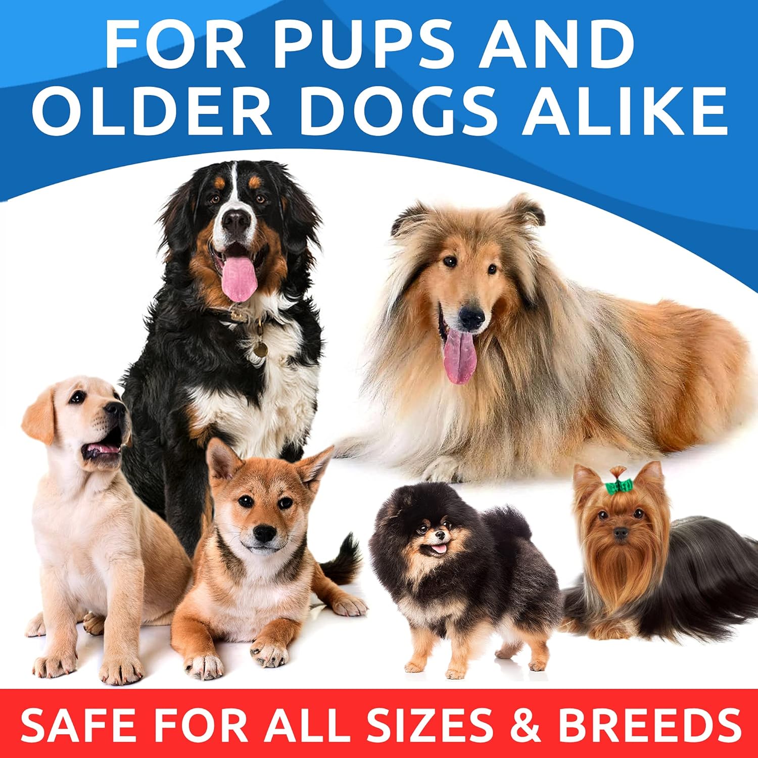 BARK&SPARK Aceite de salmón para perros y gatos – Aceite de pescado natural Omega-3 para perros – Apoyo para la piel y el pelaje – Suplemento