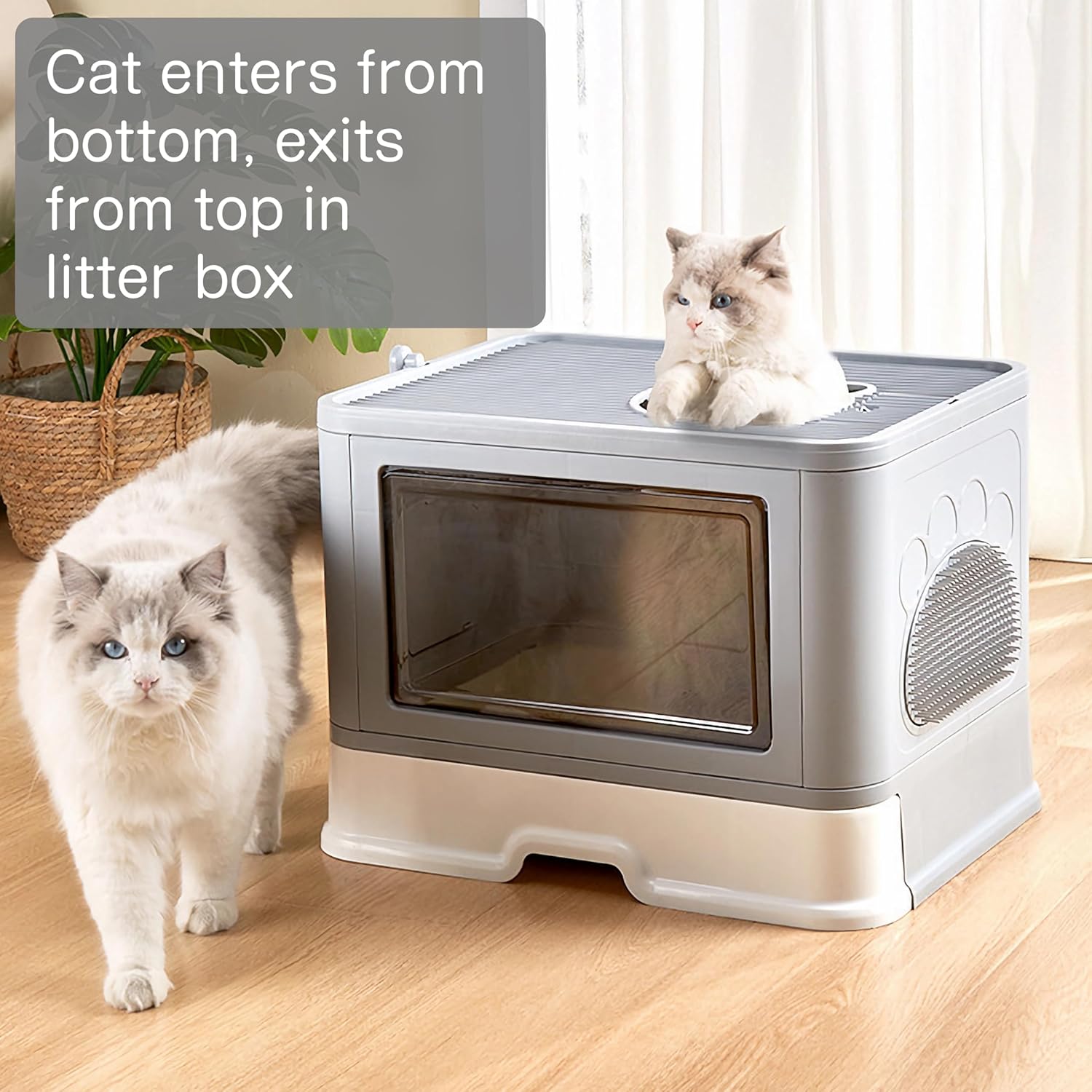 Caja de arena para gatos con alfombrilla de arena para gatos y cuchara, caja de arena plegable grande con tapa, caja de arena para gatos de salida
