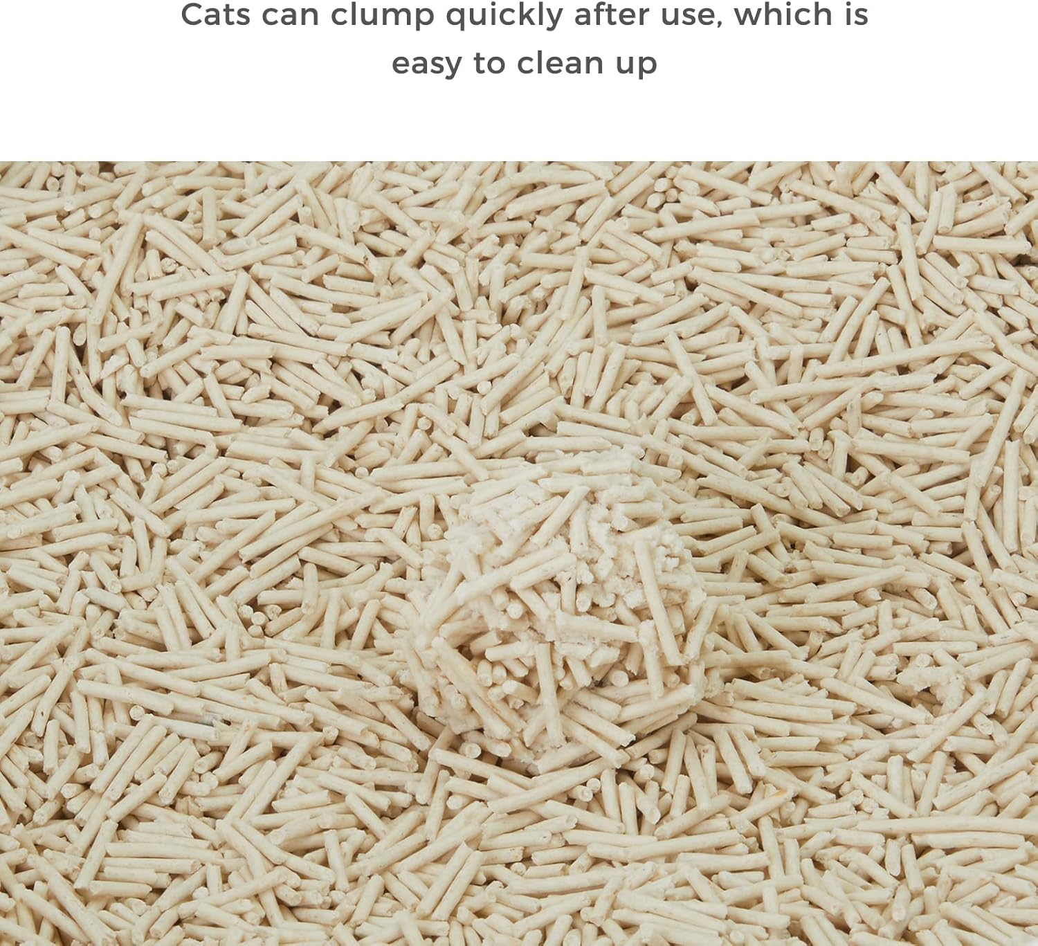 Bluerise Arena para gatos de tofu de 6 libras x 4 pulgadas, sin polvo, para gatos, absorbe rápidamente los olores de los gatos, el inodoro para