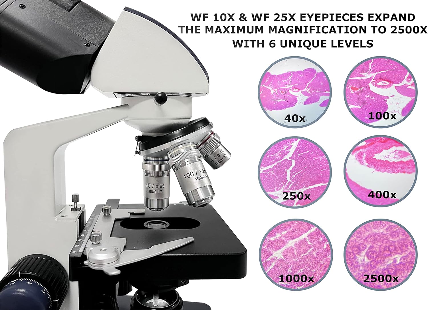 Vision Scientific Microscopio compuesto trinocular Siedentopf VS-60T-RC-DT1.3, aumento 40X-2500X, oculares WF 10X y 25X, etapa mecánica de doble
