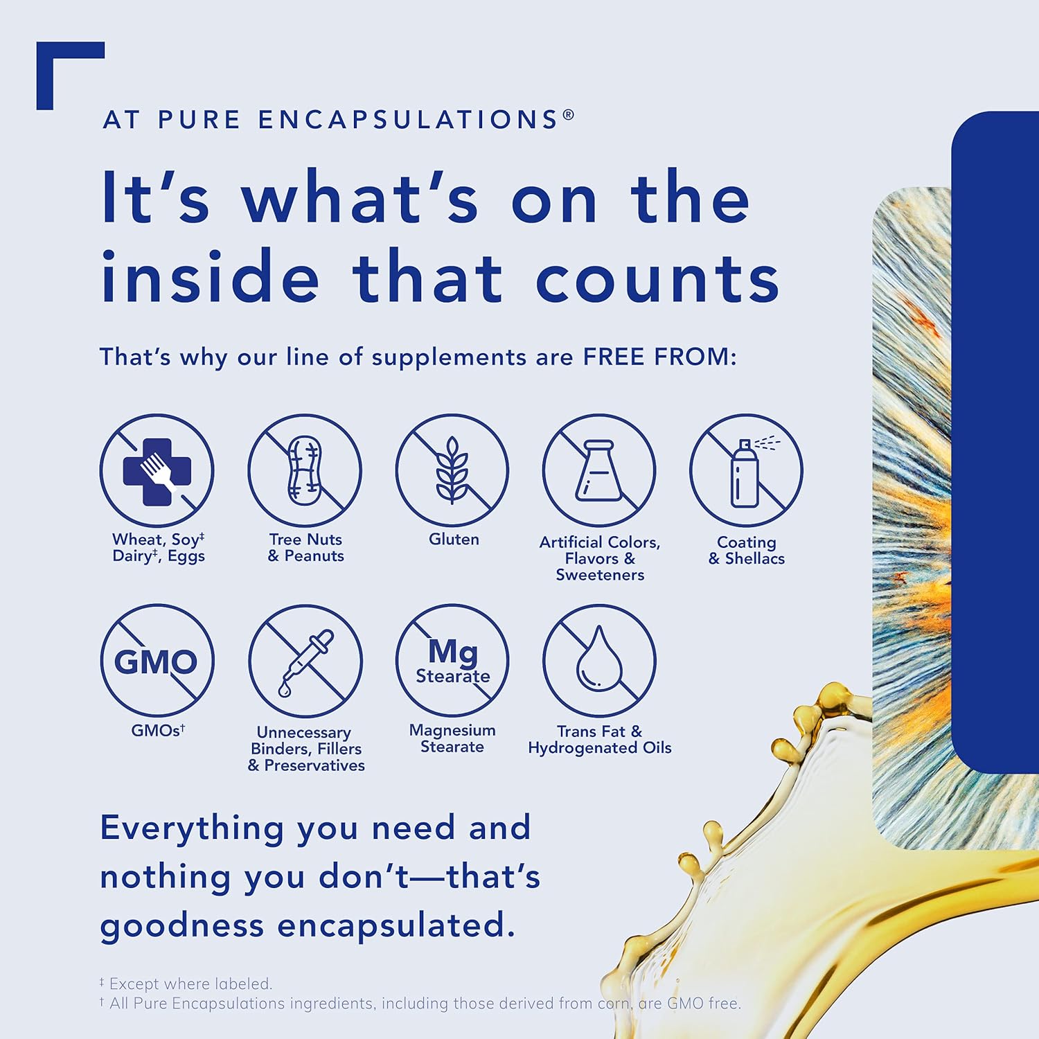 Pure Encapsulations Pycnogenol (extracto de corteza de pino) 50 mg  Suplemento hipoalergénico para apoyar la función cognitiva y la salud