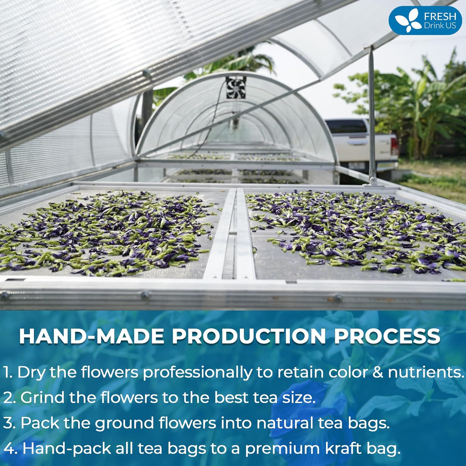 FreshDrinkUS, 55 bolsas de té de guisantes de mariposa, 100% natural y puro de flores de guisantes de mariposa, hechas a mano, hechas con materiales