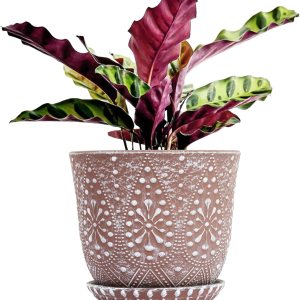 Gepege Maceta de cerámica de 8 pulgadas con agujeros de drenaje y platillos para plantas de interior, maceta grande Gepege Maceta de cerámica de 8 pulgadas con agujeros de drenaje y platillos para plantas de interior, maceta grande
