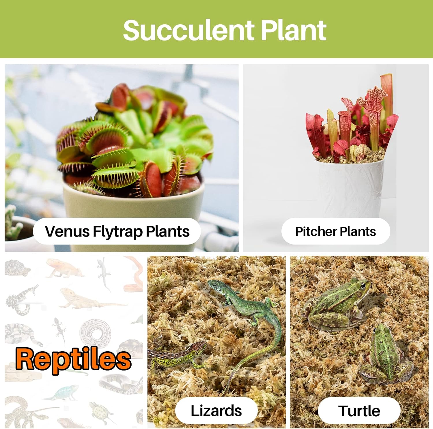 Sukh Musgo de esfagnum para plantas de 20 onzas, musgo de turba de esfagno, musgo seco natural de fibra larga para orquídeas, suculentas,