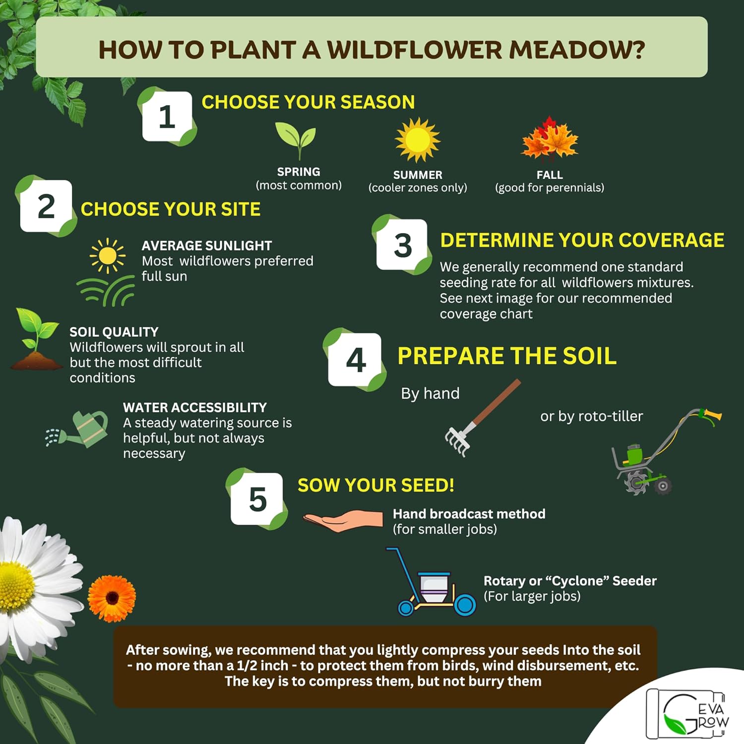 Bulk Regional Wildflower Seed Tub – Semillas de flores silvestres del noreste orgánicas, sin OMG, 100% semillas puras, 21 variedades de semillas,