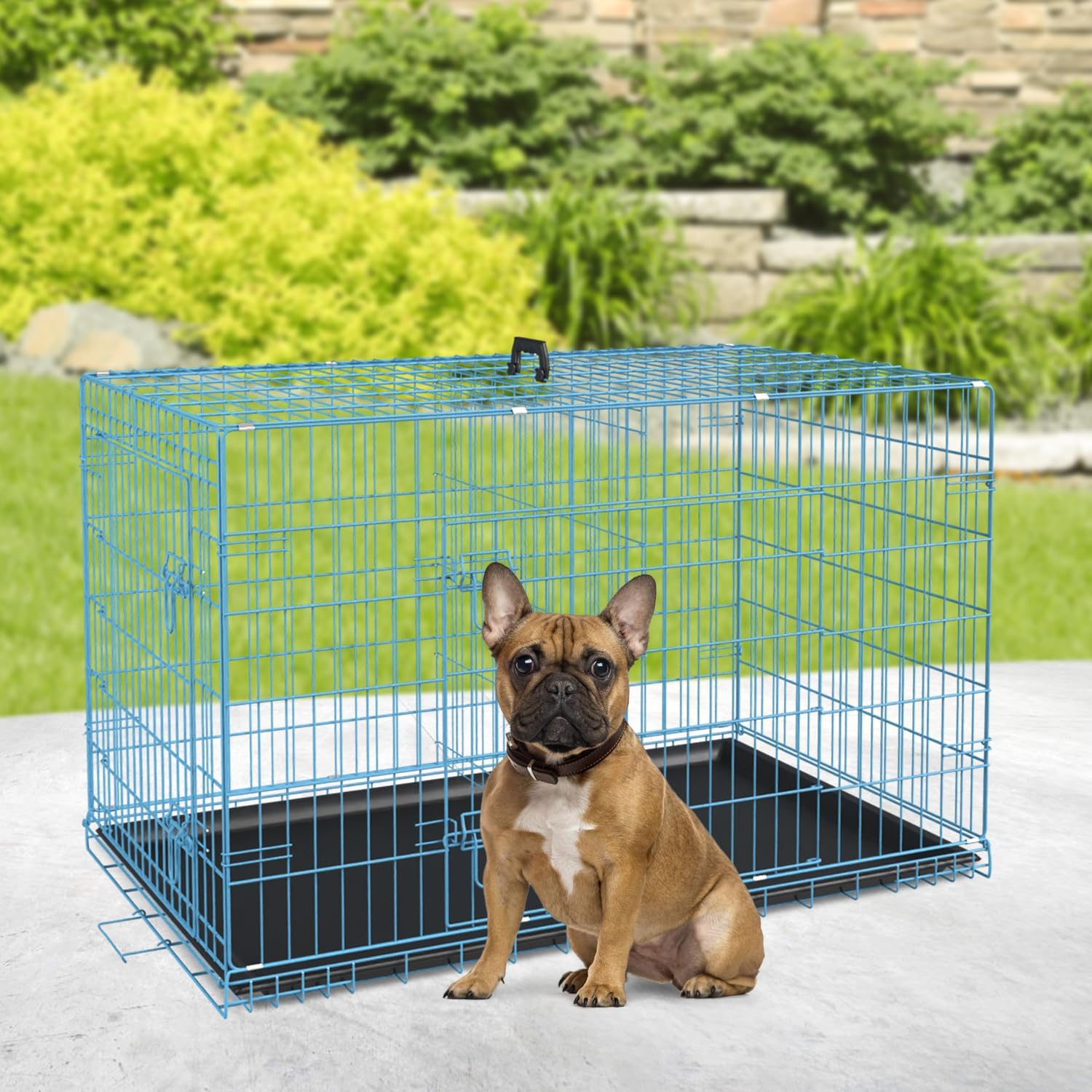 Petmate – Jaulas plegables de alambre de metal, de 30 pulgadas, para perros grandes, para exteriores e interiores, con doble puerta, bandeja