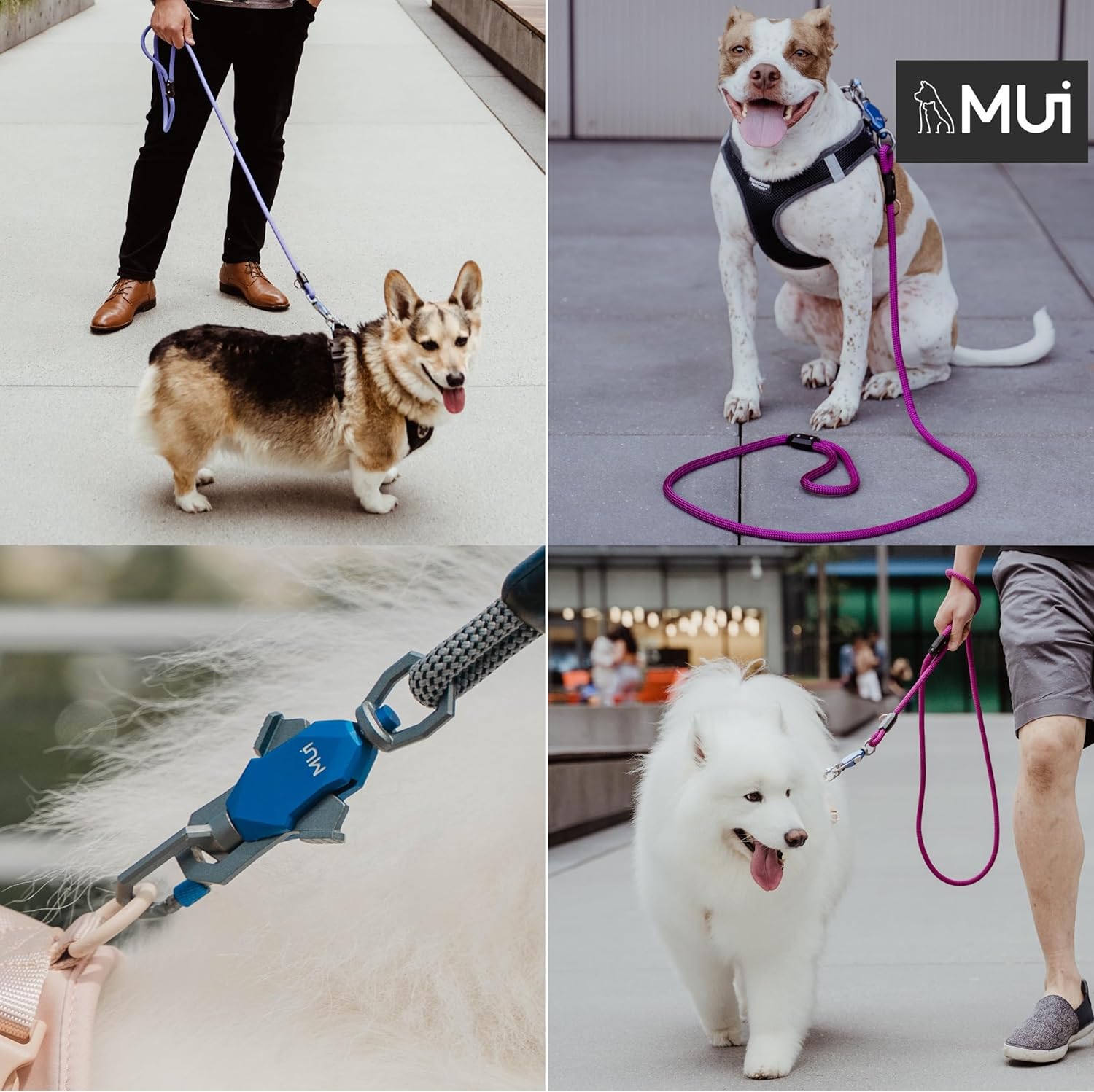 MUI – Correas magnéticas para perros grandes, resistente, correa de perro de 6 pies con fácil conexión de doble gancho, funciona con cualquier