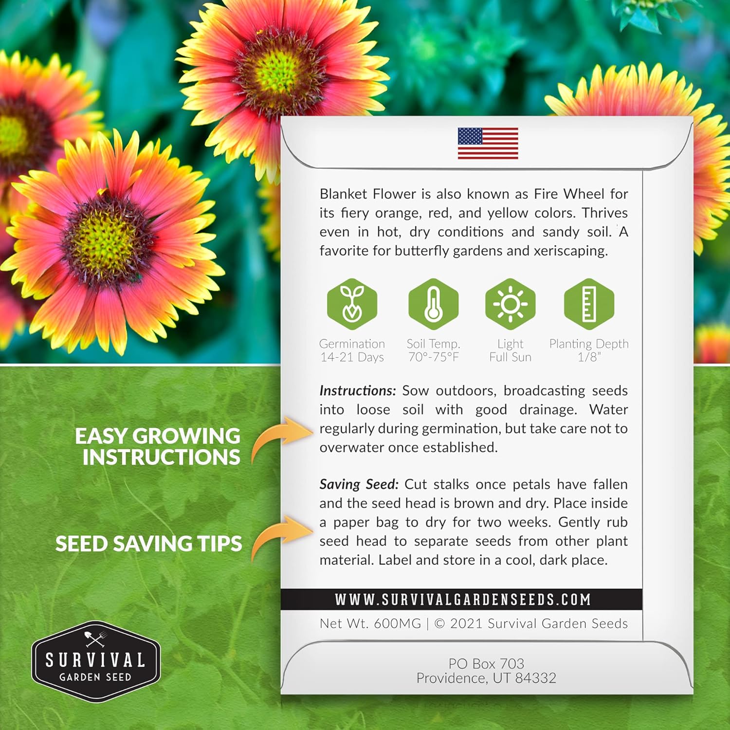 Survival Garden Seeds – Semillas de flores para plantar – Paquete con instrucciones para plantar y cultivar Gaillardia Pulchella en el huerto de tu