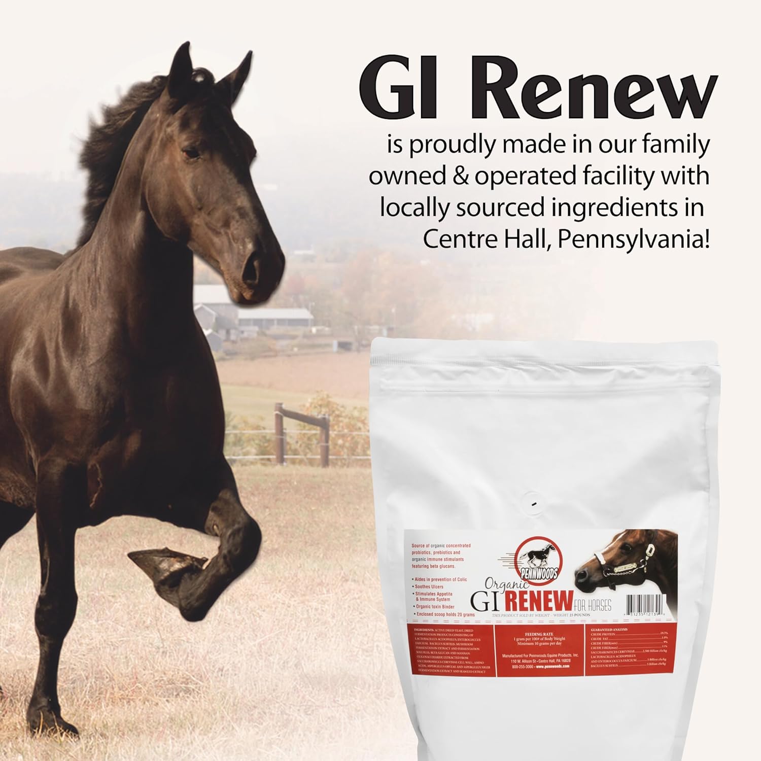 GI Renew, probióticos para estimulación equina, inmune y del apetito, prebióticos, enzimas digestivas  Suplemento para caballos que proporciona