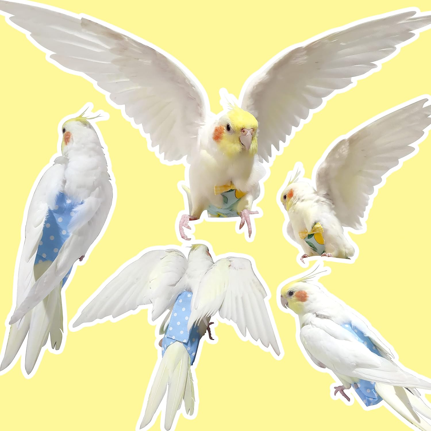 VANFAVORI Arnés de pañales para pájaros, ropa de traje de vuelo con cuerda de correa voladora de 80 pulgadas para loros, conure, cacatúas, aves,