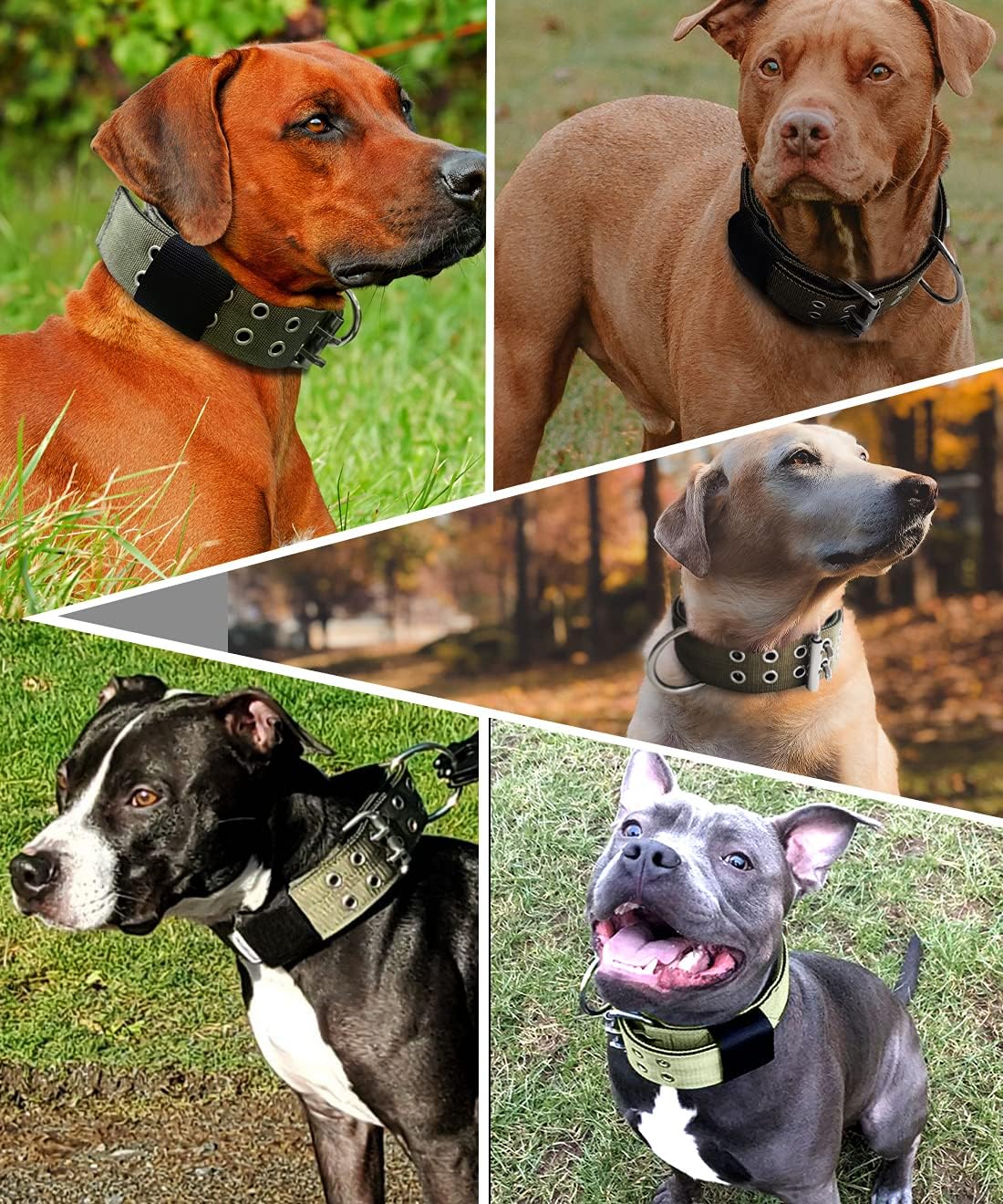Collar de perro para perros grandes, collares tácticos de 2 pulgadas de ancho con asa para perros de raza extragrande, camuflaje militar,