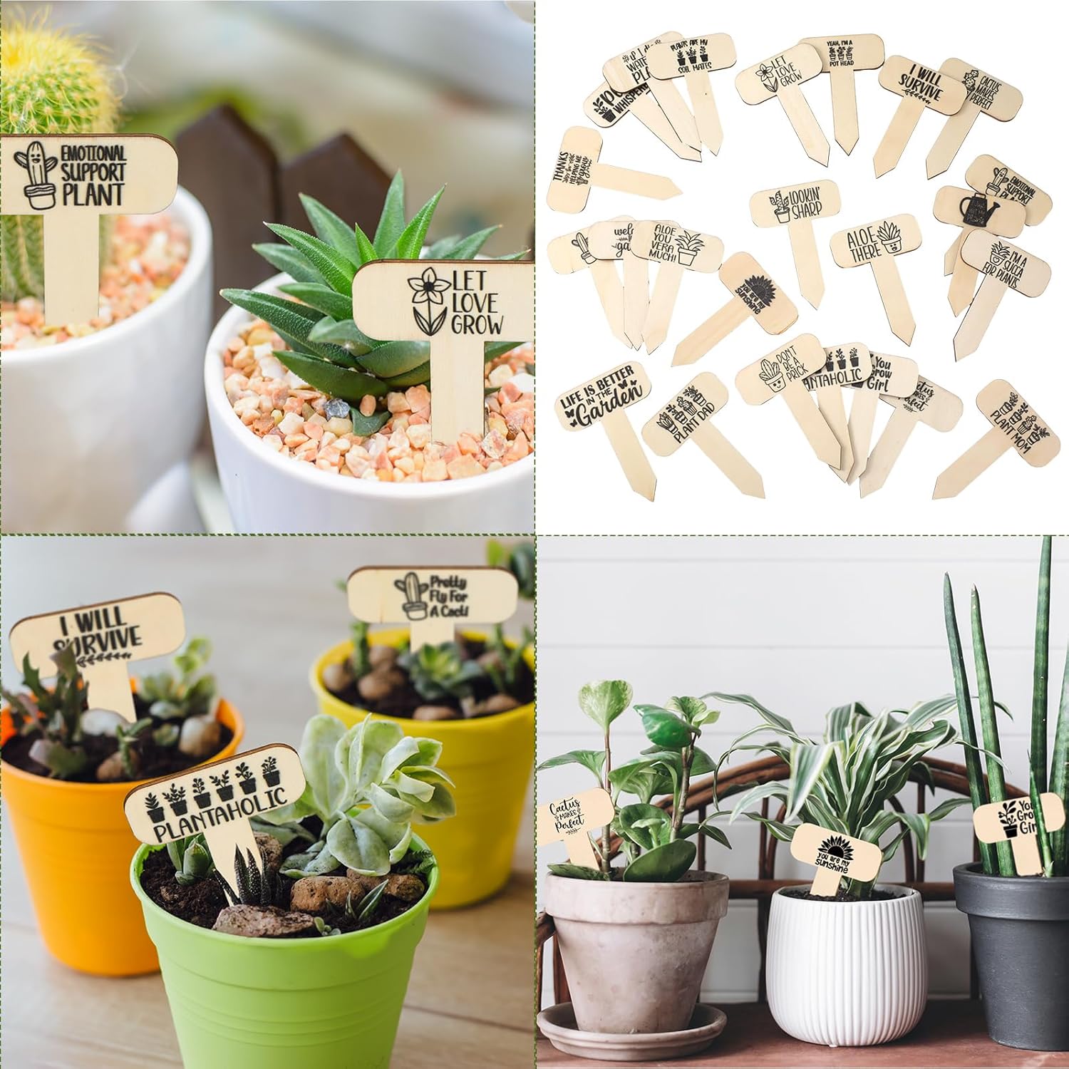 48 marcadores divertidos de madera para plantas, letreros de jardín para plantas, regalos de jardinero para flores vegetales, plantas en maceta,