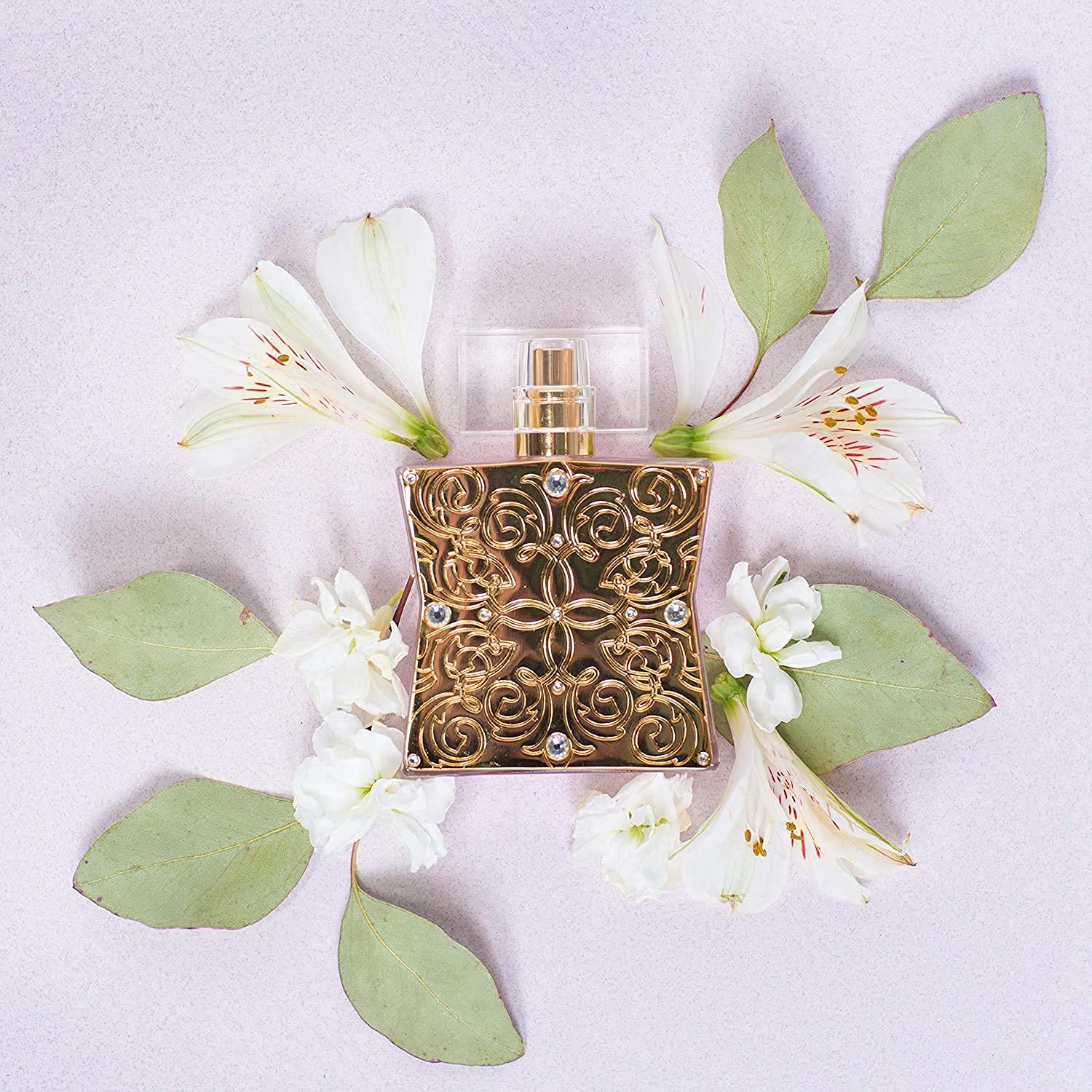 Tru Western Lace – Perfume para mujer, 1.7 fl oz (1.7 fl oz), delicado, sofisticado y cálido