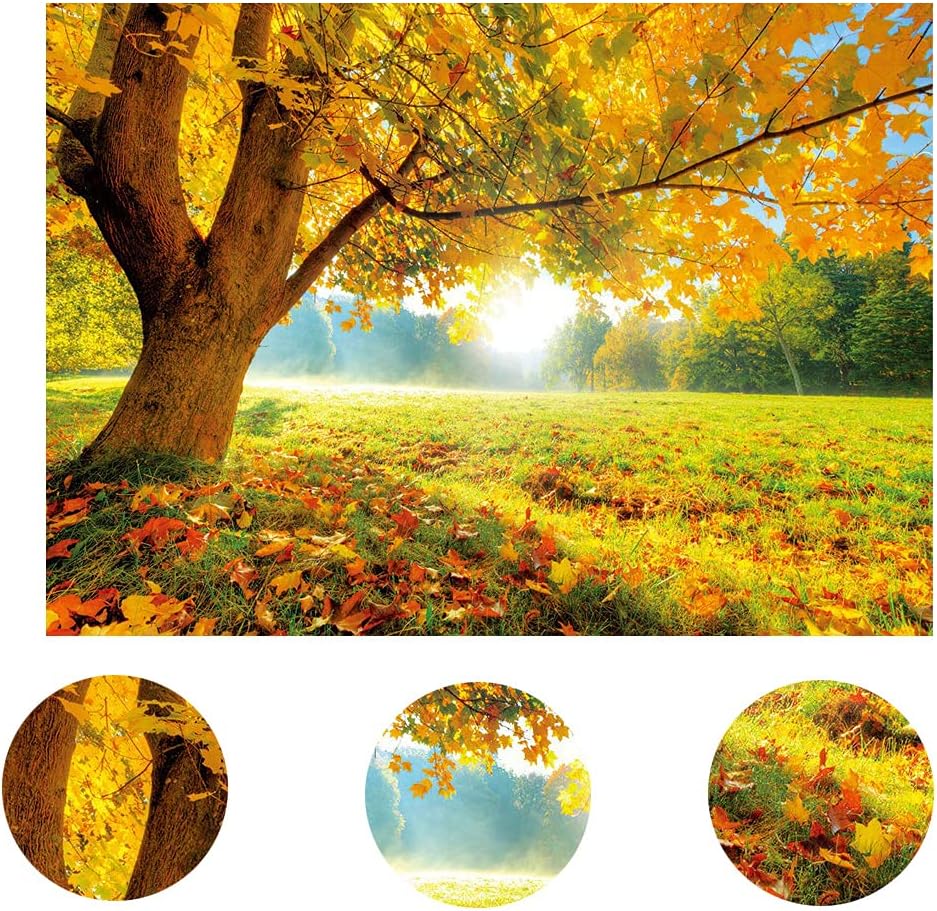 LYWYGG Fondo de fotografía de hoja caduca de arce dorado de otoño de 7x5FT Fondo de fotografía de otoño Telón de fondo de boda Telón de fondo de