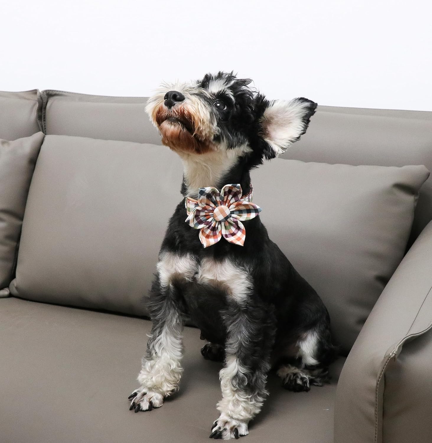 Unique Style Paws Collar de perro de algodón con lazo floral a cuadros coloridos collar de perro con pajarita para perros pequeños, medianos y