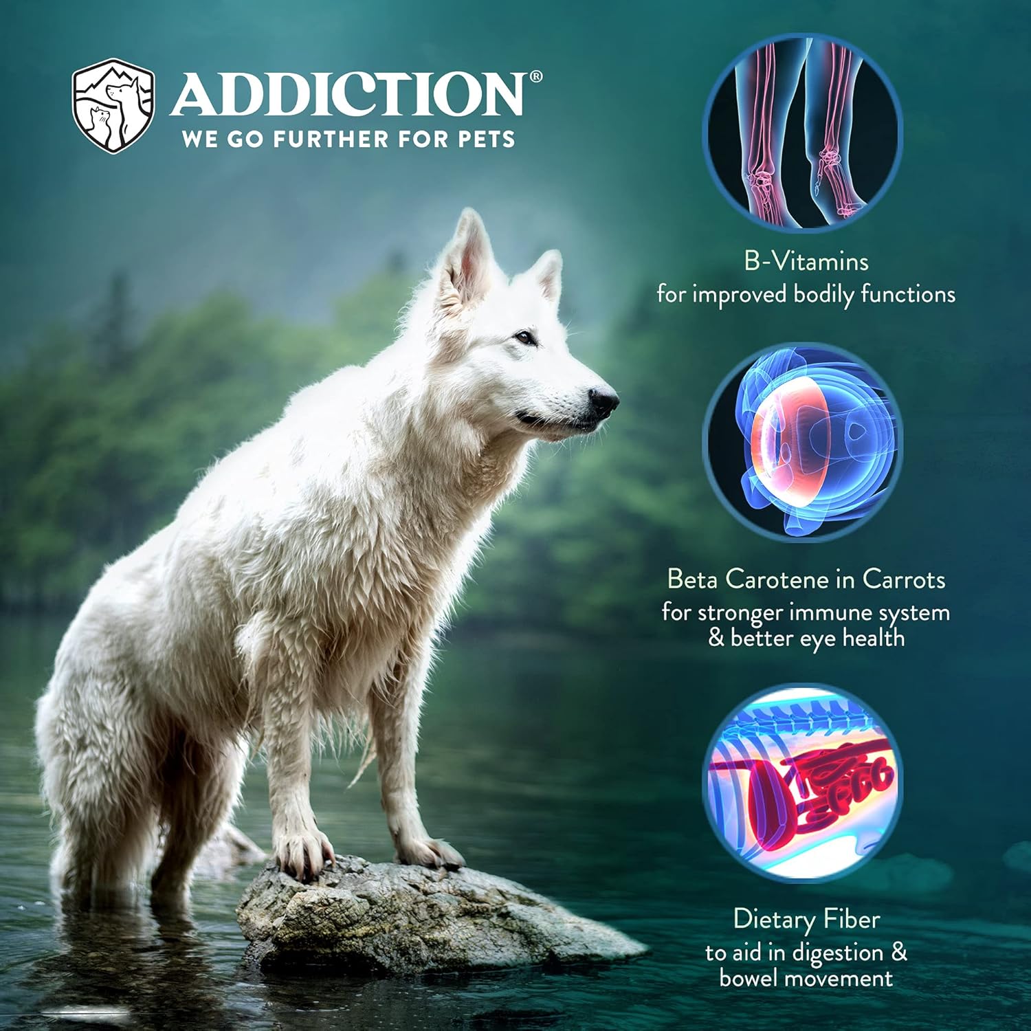 Addiction Raw dehydrated Grain-Free Dog Food, país pollo y albaricoque, 2lbs por Addiction mascota Alimentos