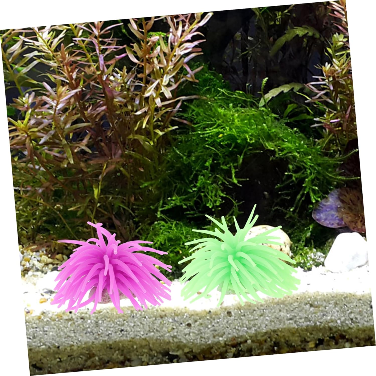 Didiseaon 4 unids Decoración Falso Mar Coral Adorn Fish Tank Paisaje Acuario Suministros Ornamento Subacuático Silicona Coral Acuario Equipo