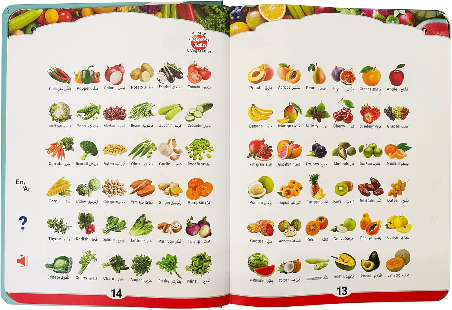Libro de alfabeto árabe para niños con traducciones al inglés, aprender el número del alfabeto árabe Corán, libro de aprendizaje en árabe para