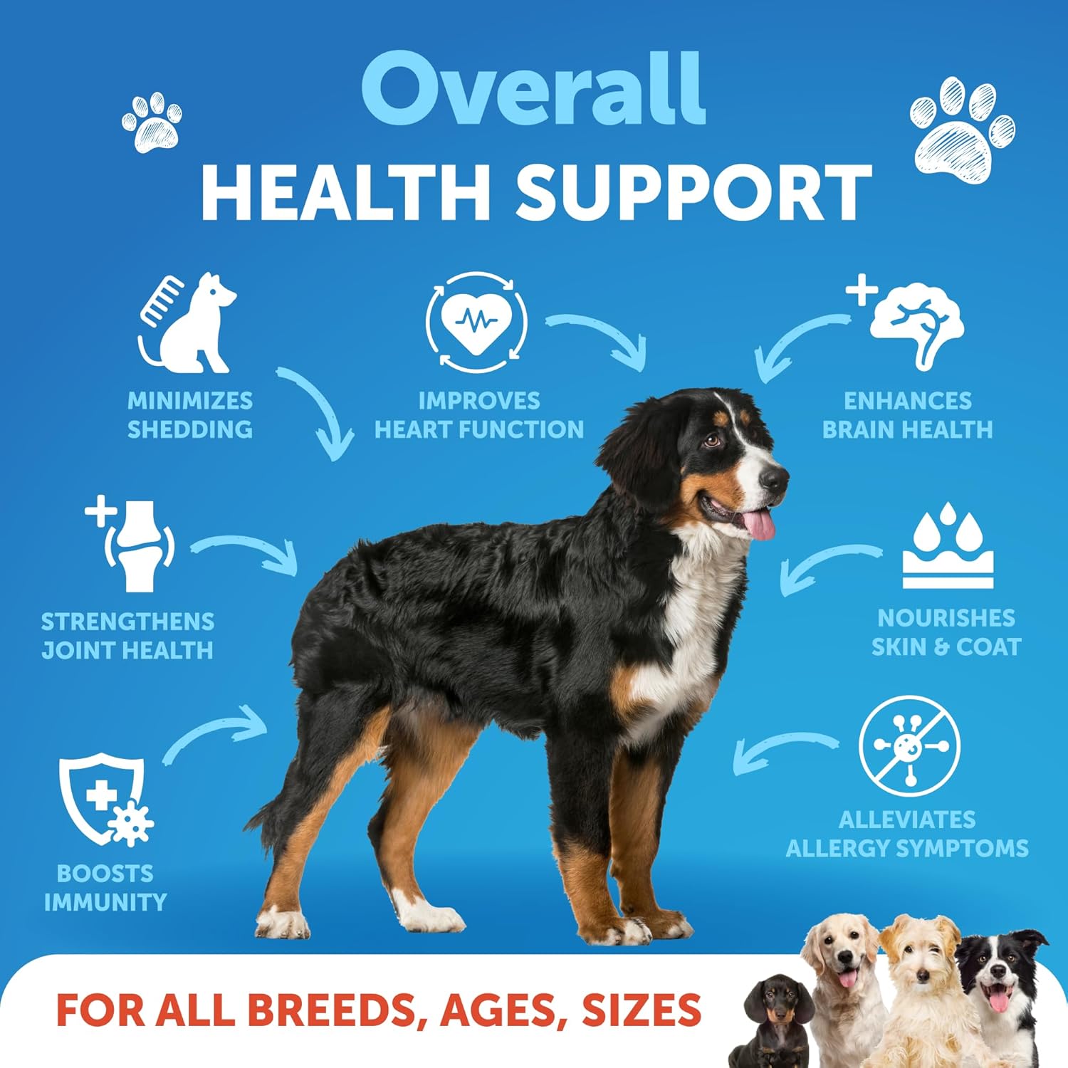 Aceite de pescado Omega 3 para perros, mejor que el aceite de salmón para perros, aceite de pescado líquido para mascotas, EPA DHA, suplemento