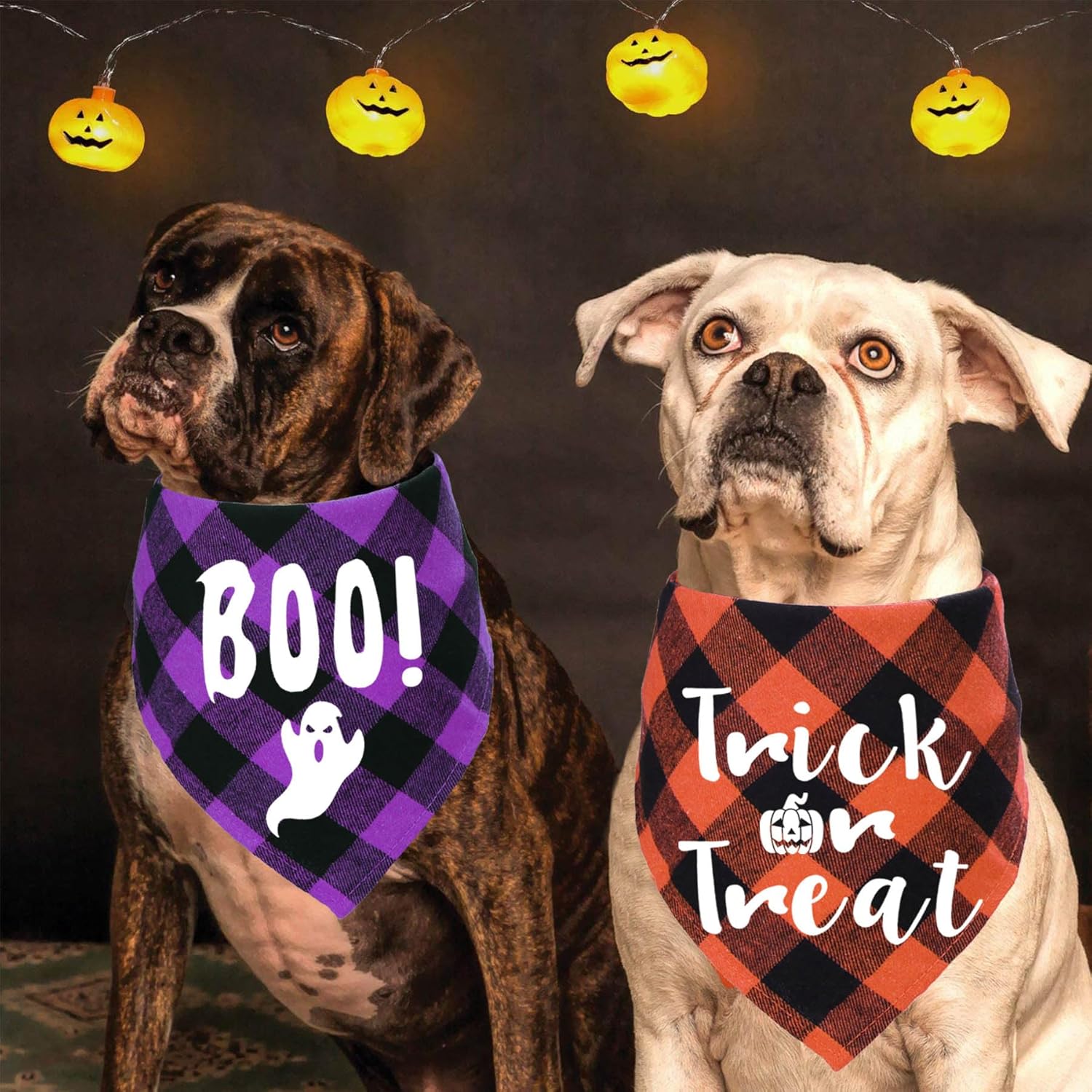 STMK Bandanas navideñas para perros, paquete de 6 bandanas para Halloween, Día de Acción de Gracias, Navidad, para perros pequeños, medianos y