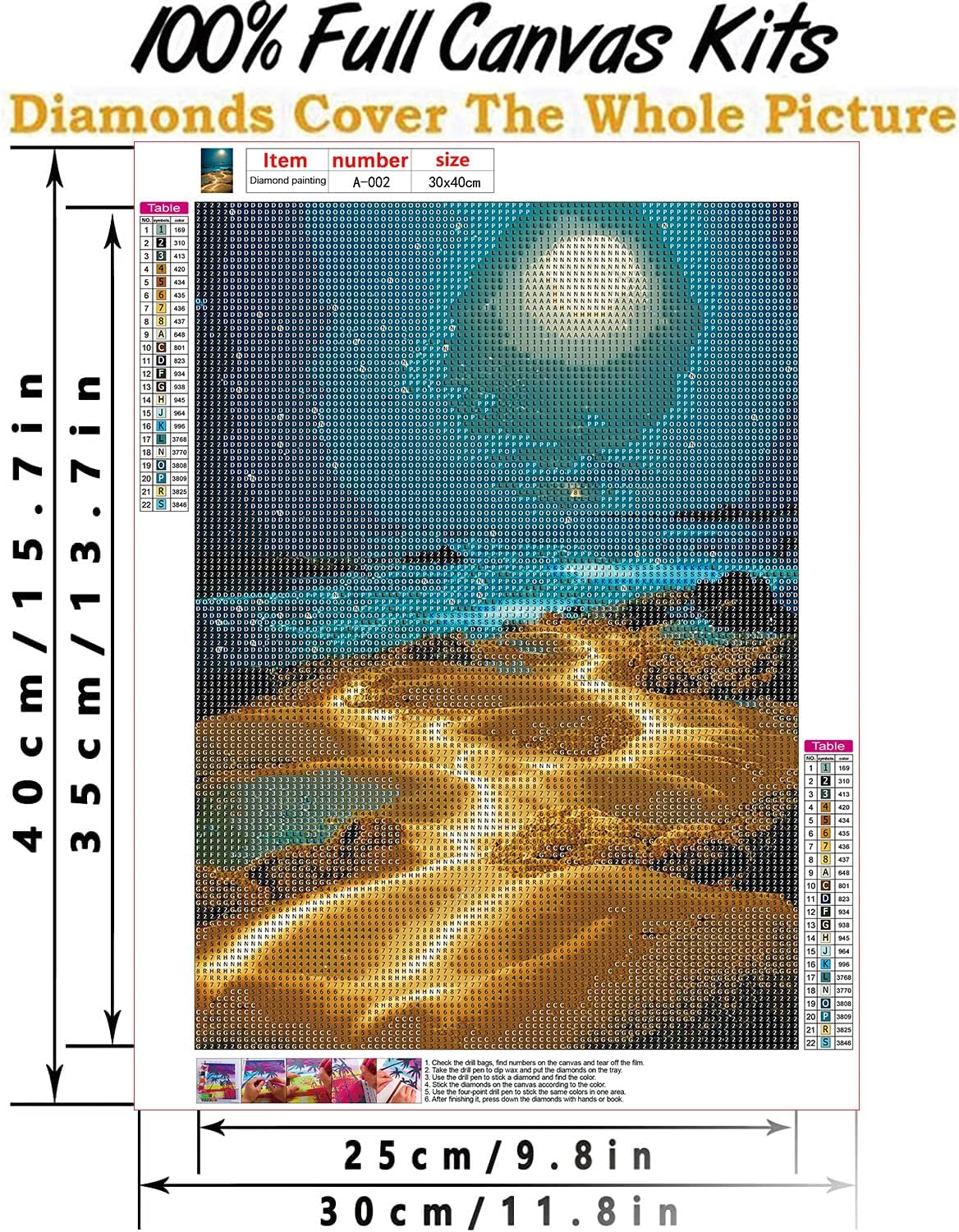 RYMILIE – Kits de pintura de diamantes para adultos  Moon Beach DIY 5D Kits de arte de diamantes de perforación completa con diamantes Gema Arte y